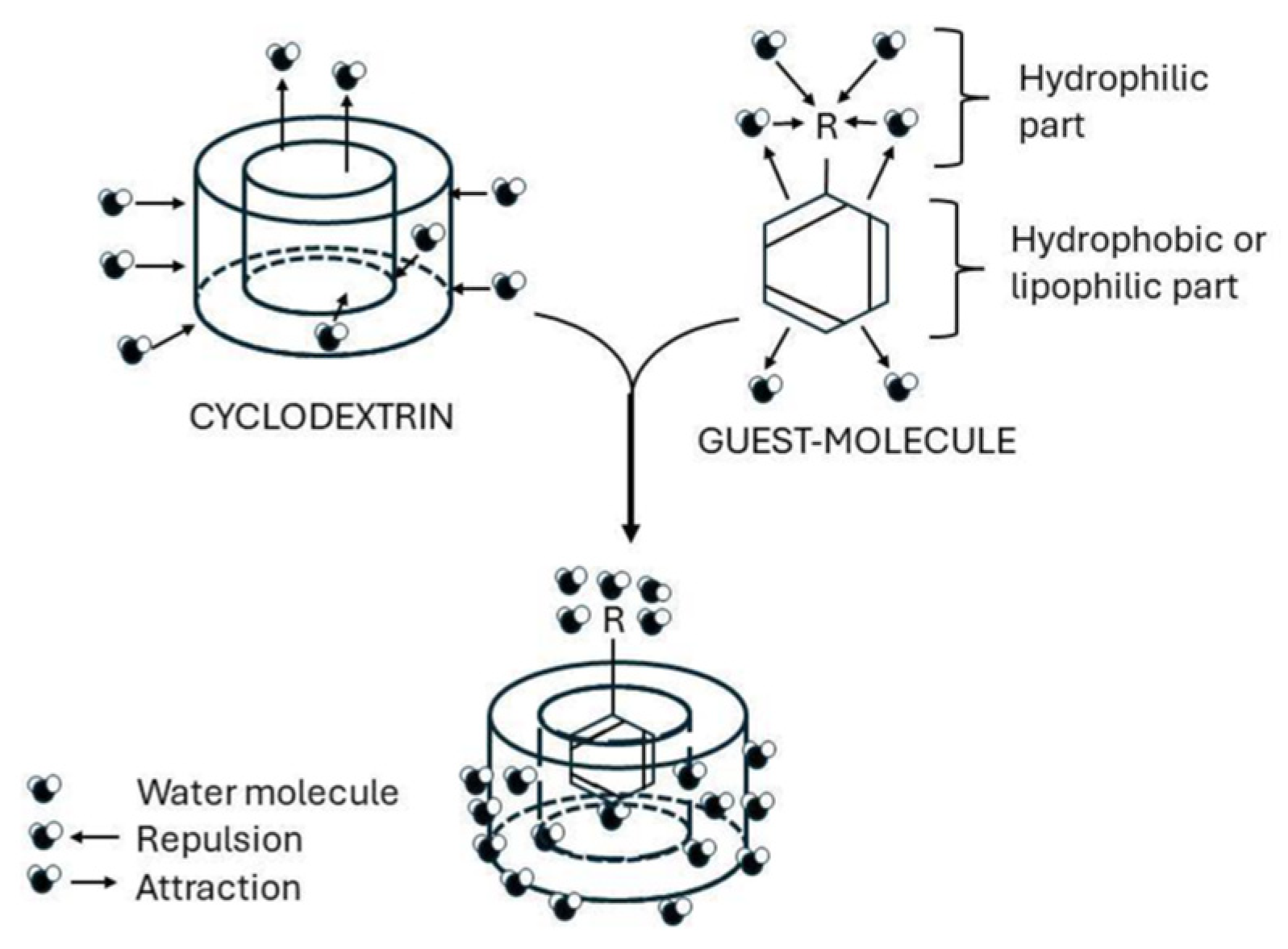 Molecules 31 01077 g009 Molecules 31 01077 g009
