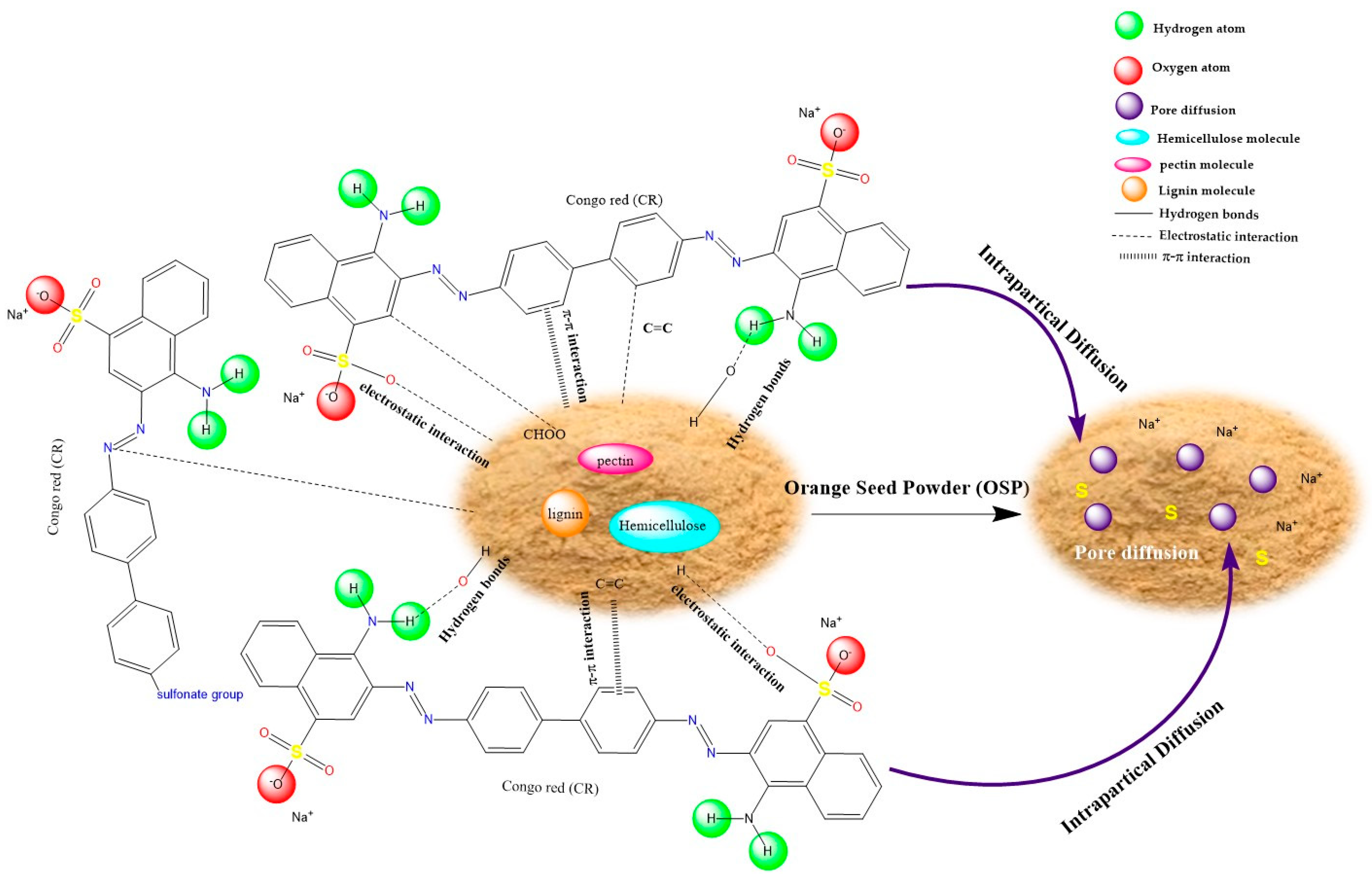 Molecules 31 01152 g009 Molecules 31 01152 g009