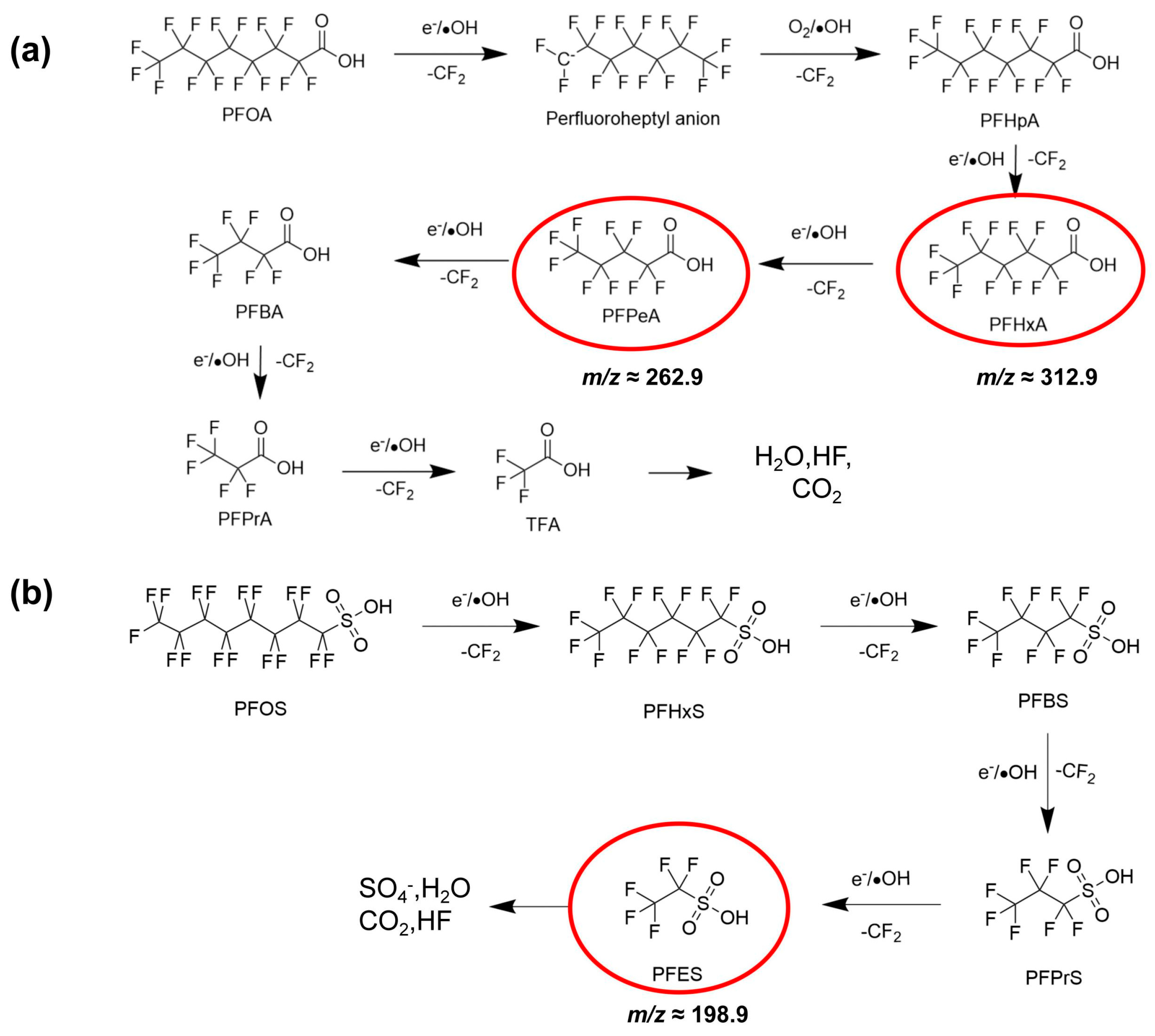 Molecules 31 01157 g007 Molecules 31 01157 g007