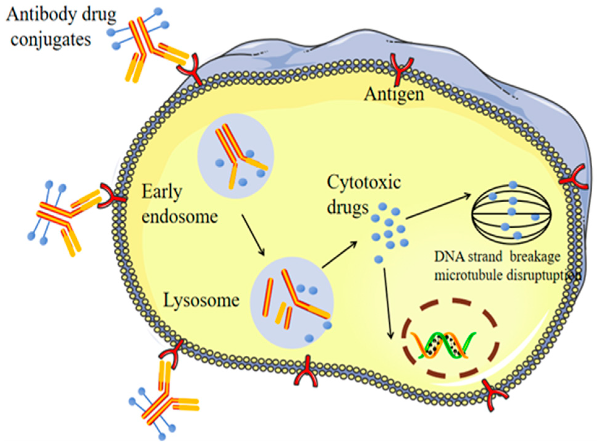 Molecules 31 01180 g001