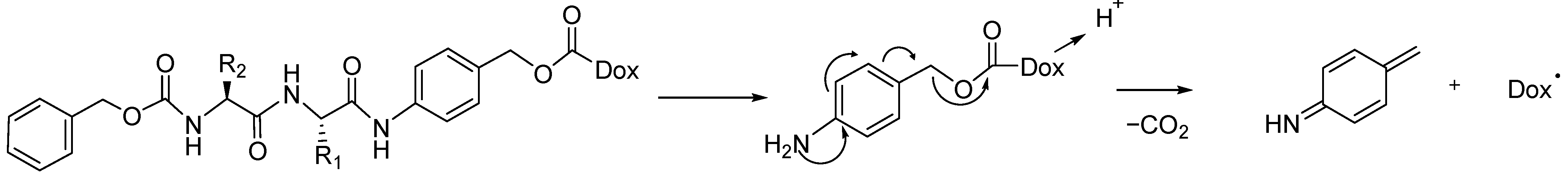 Molecules 31 01180 g005