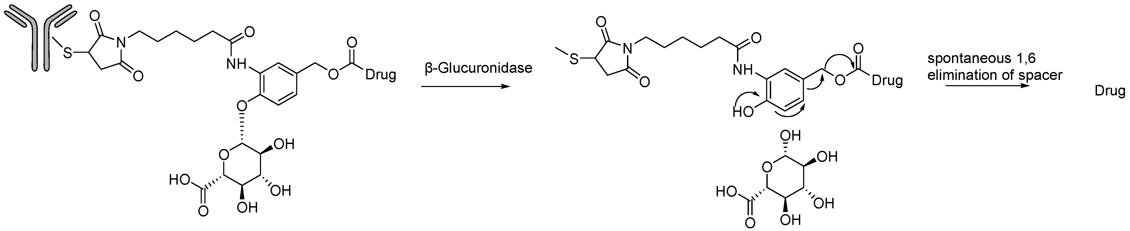 Molecules 31 01180 g006
