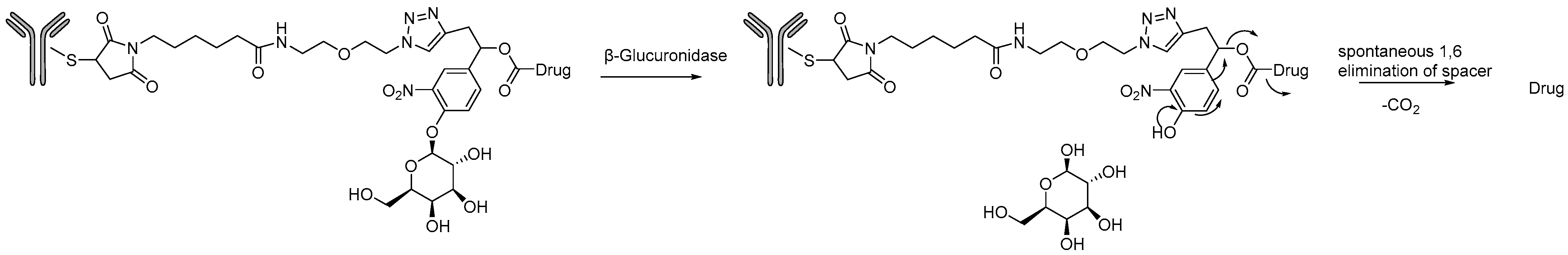 Molecules 31 01180 g007