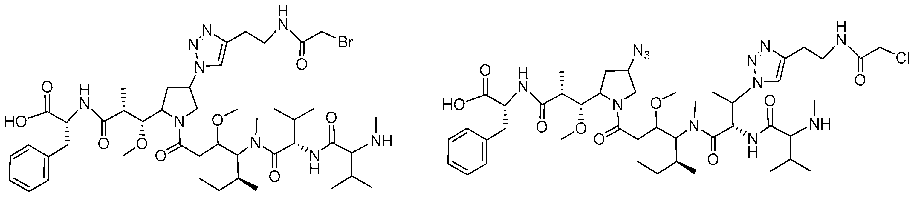 Molecules 31 01180 g010
