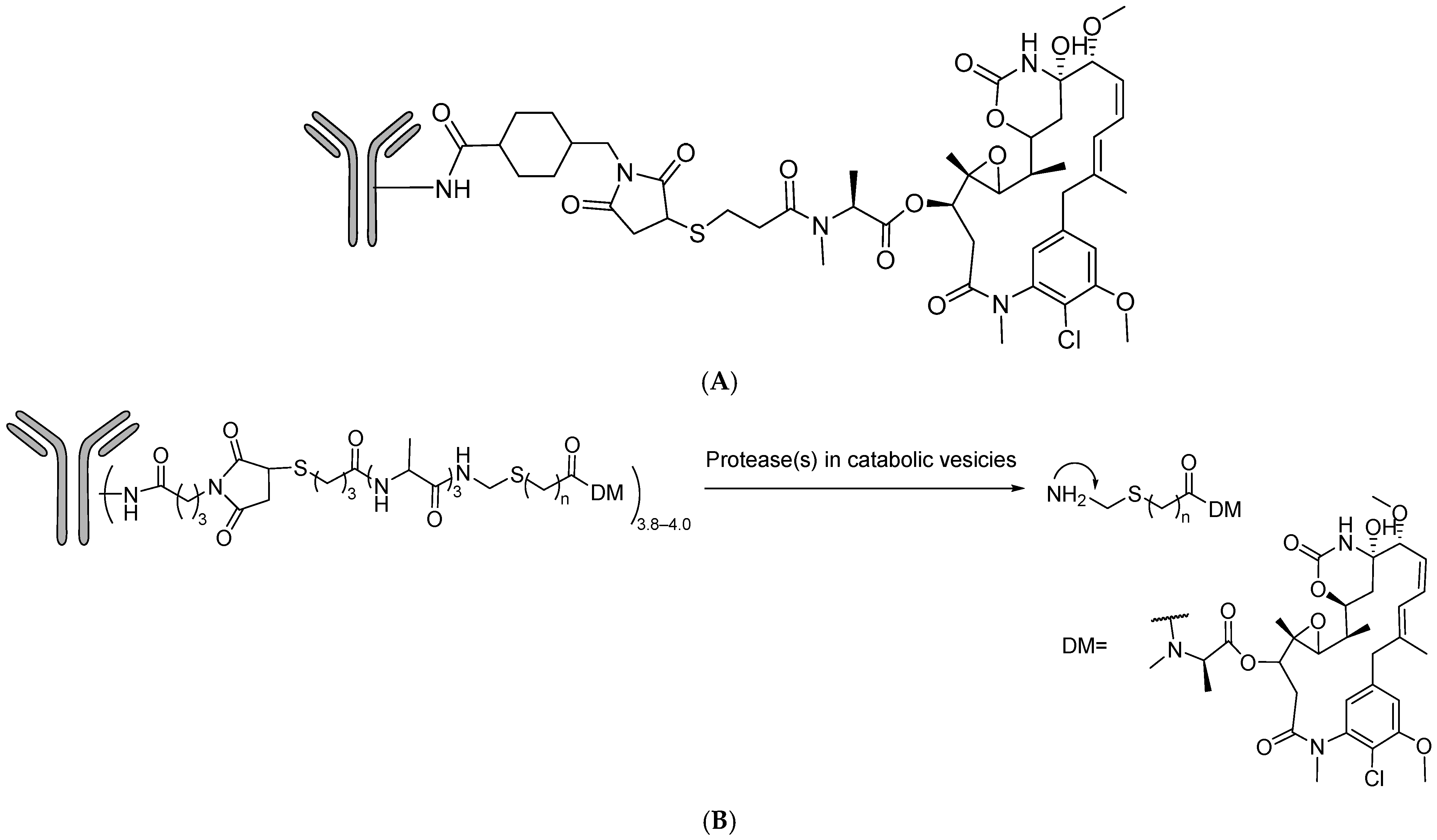 Molecules 31 01180 g014