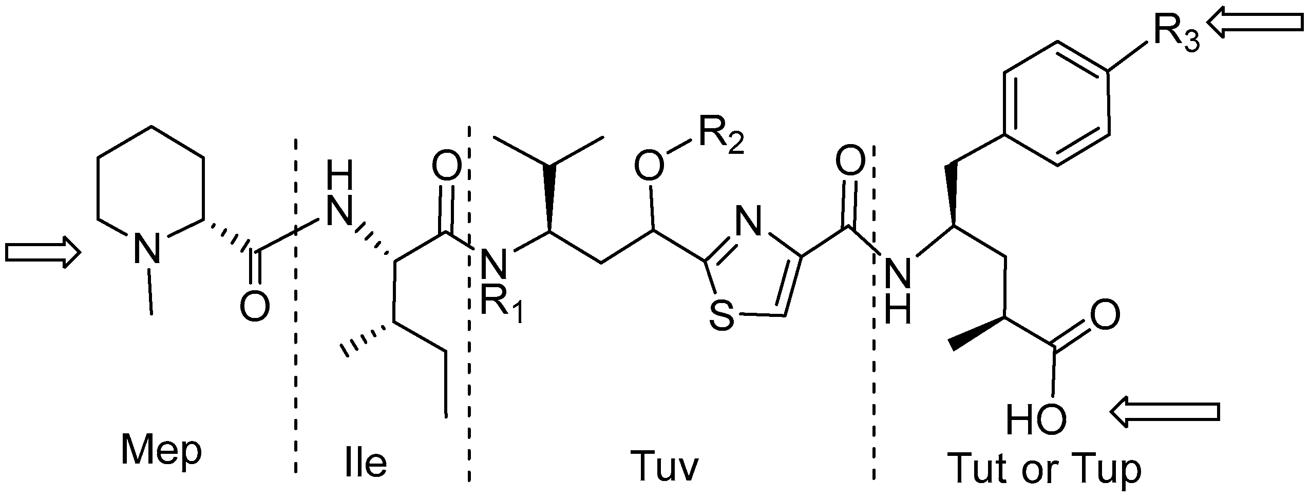 Molecules 31 01180 g016