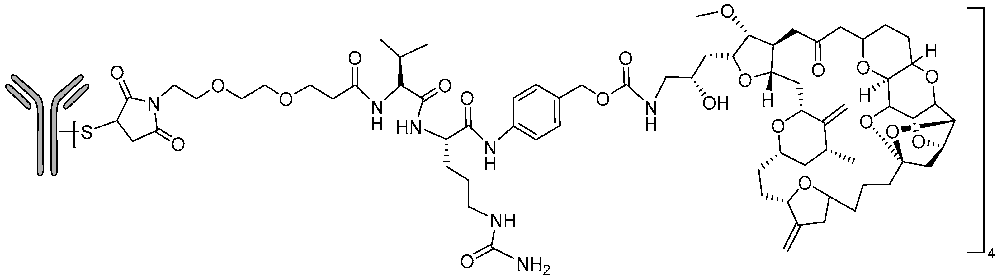 Molecules 31 01180 g022