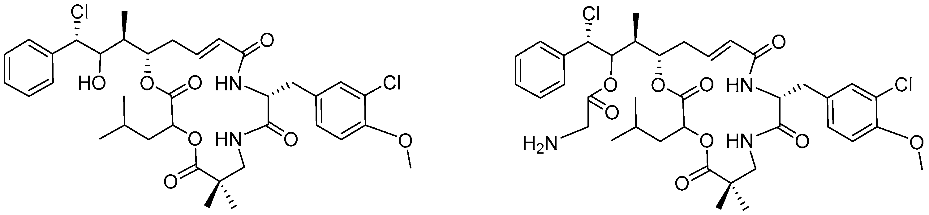 Molecules 31 01180 g025