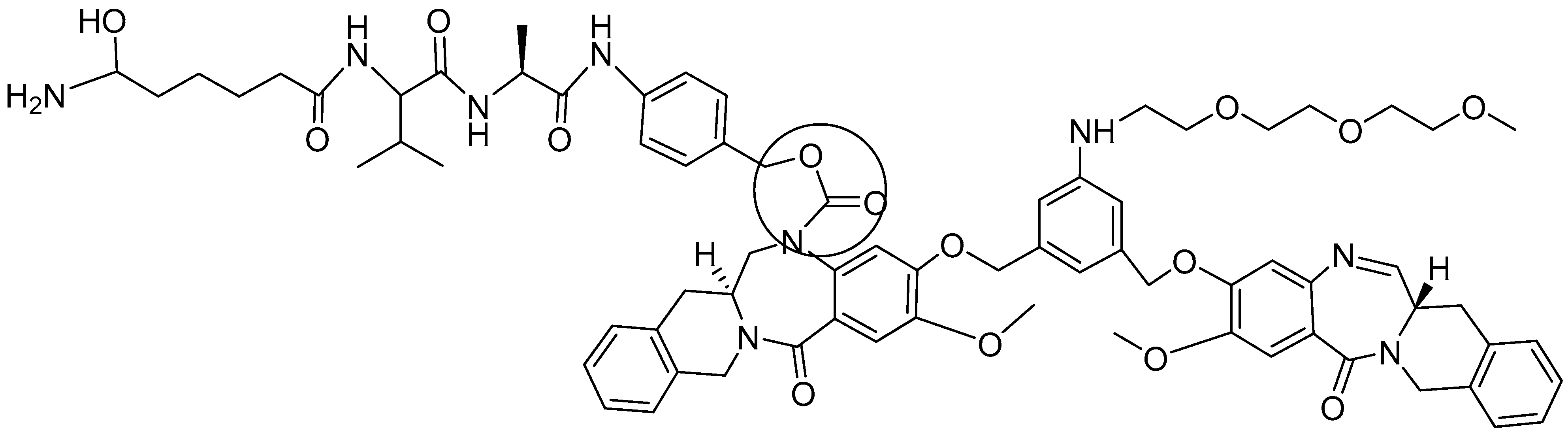 Molecules 31 01180 g029