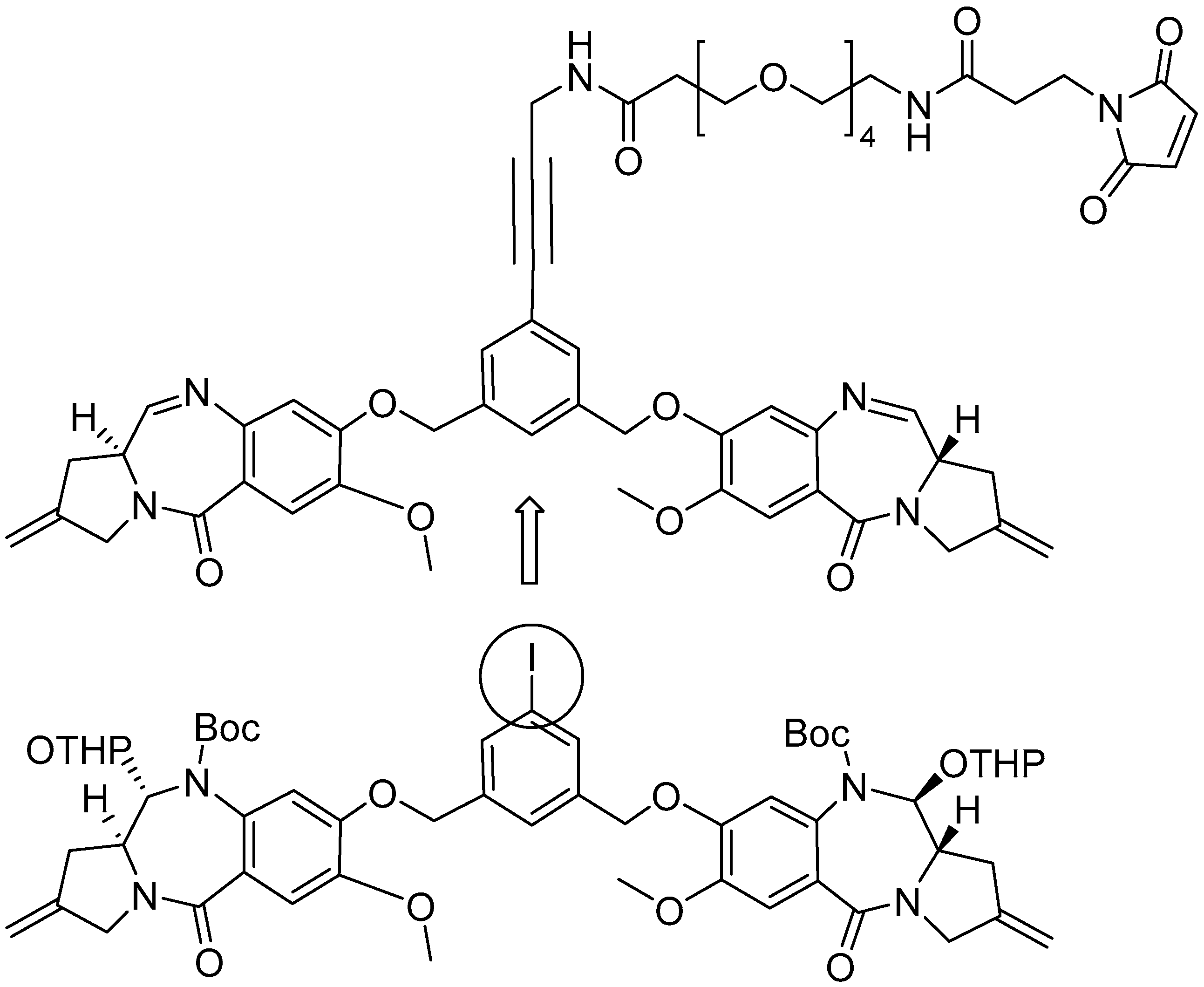 Molecules 31 01180 g030