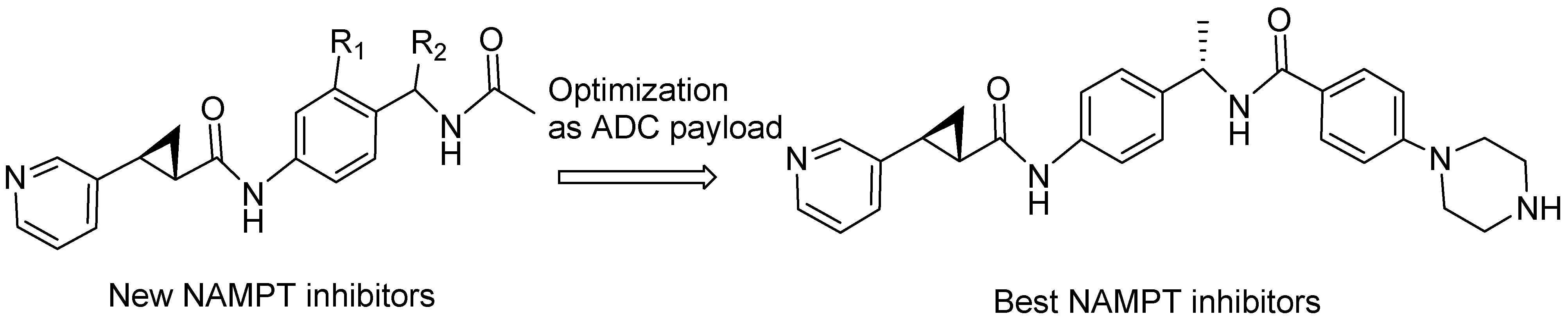 Molecules 31 01180 g043
