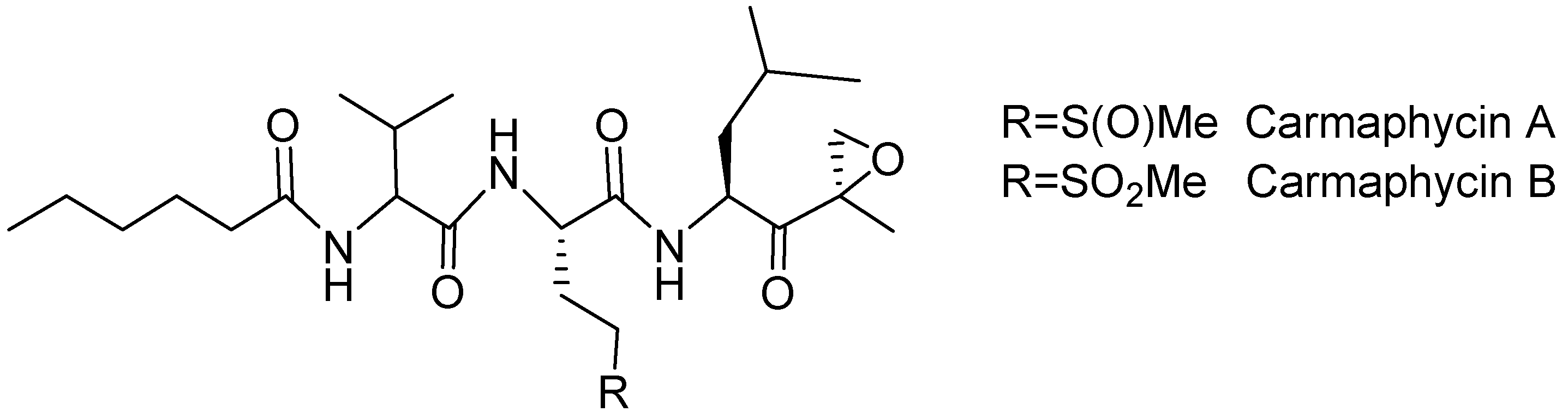 Molecules 31 01180 g044