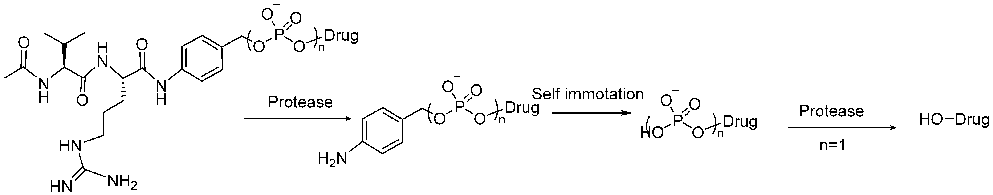 Molecules 31 01180 sch002