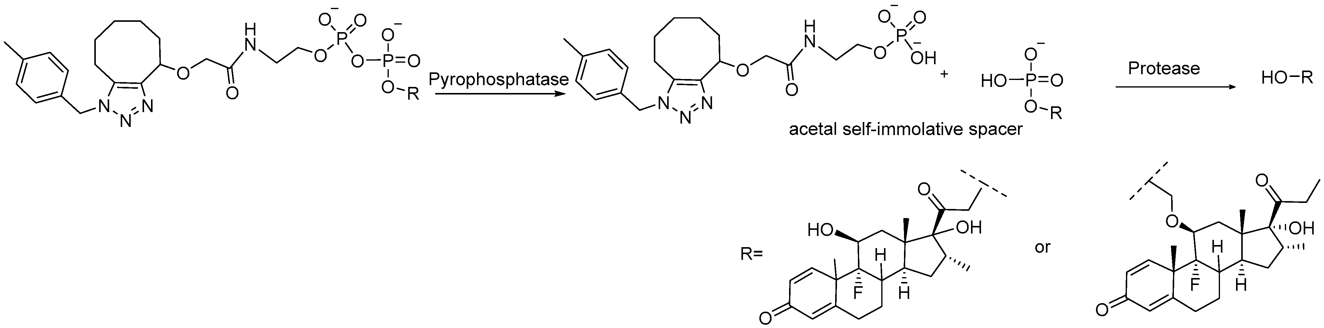 Molecules 31 01180 sch003