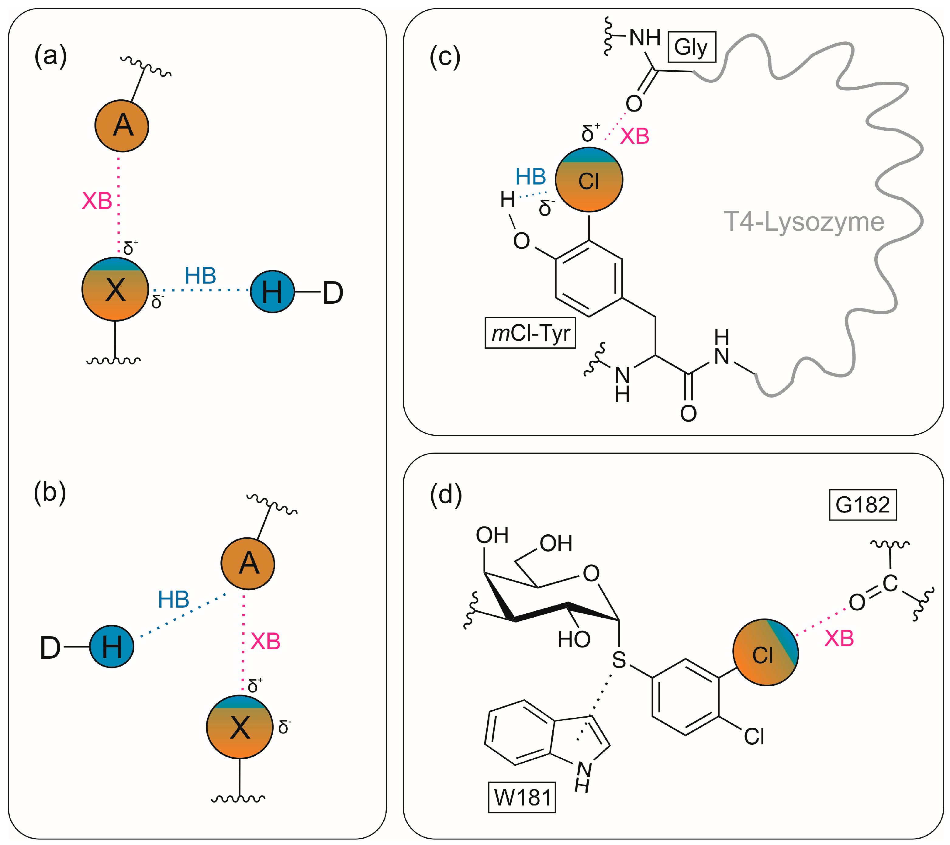 Molecules 31 01237 g001 Molecules 31 01237 g001