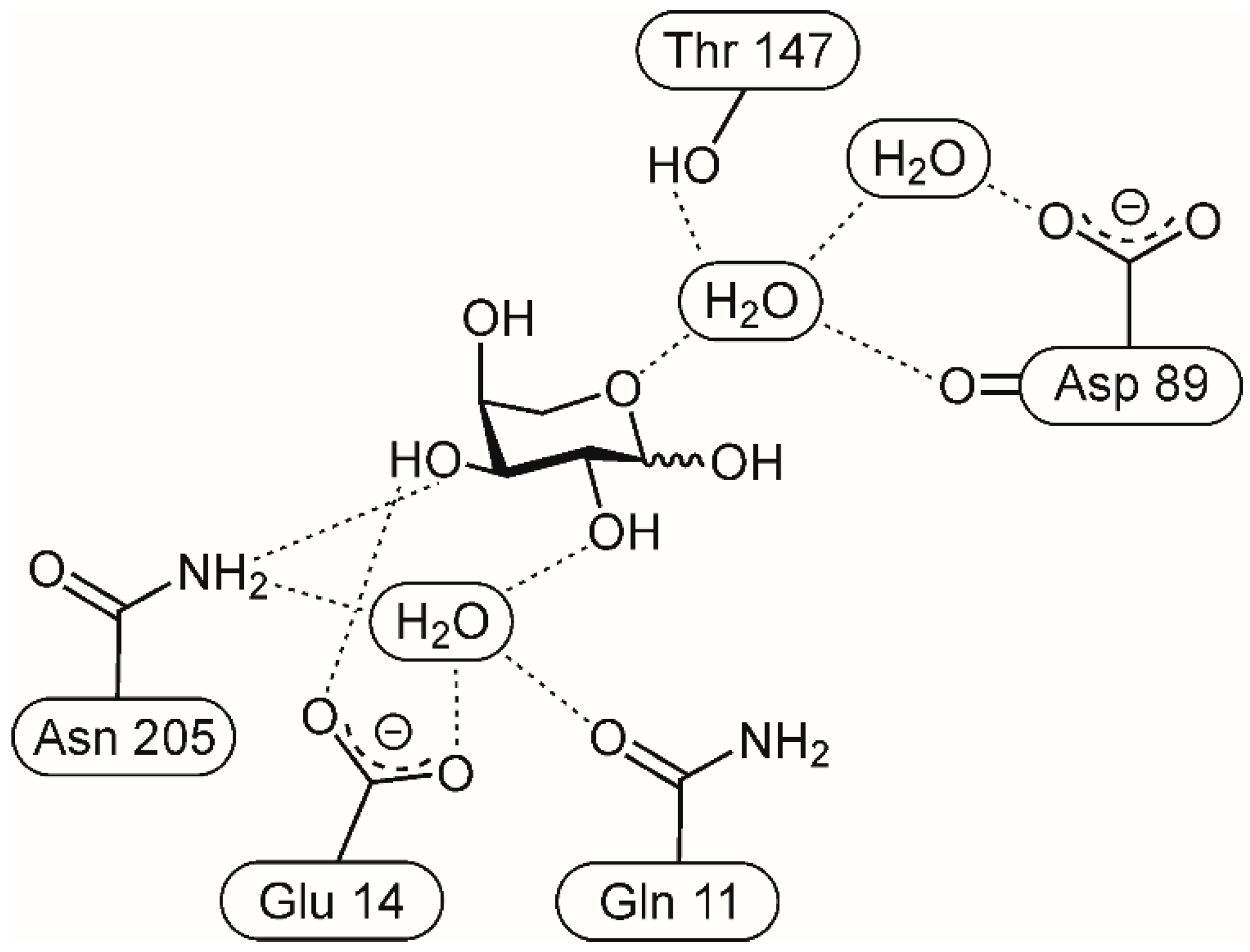Molecules 31 01237 g008 Molecules 31 01237 g008