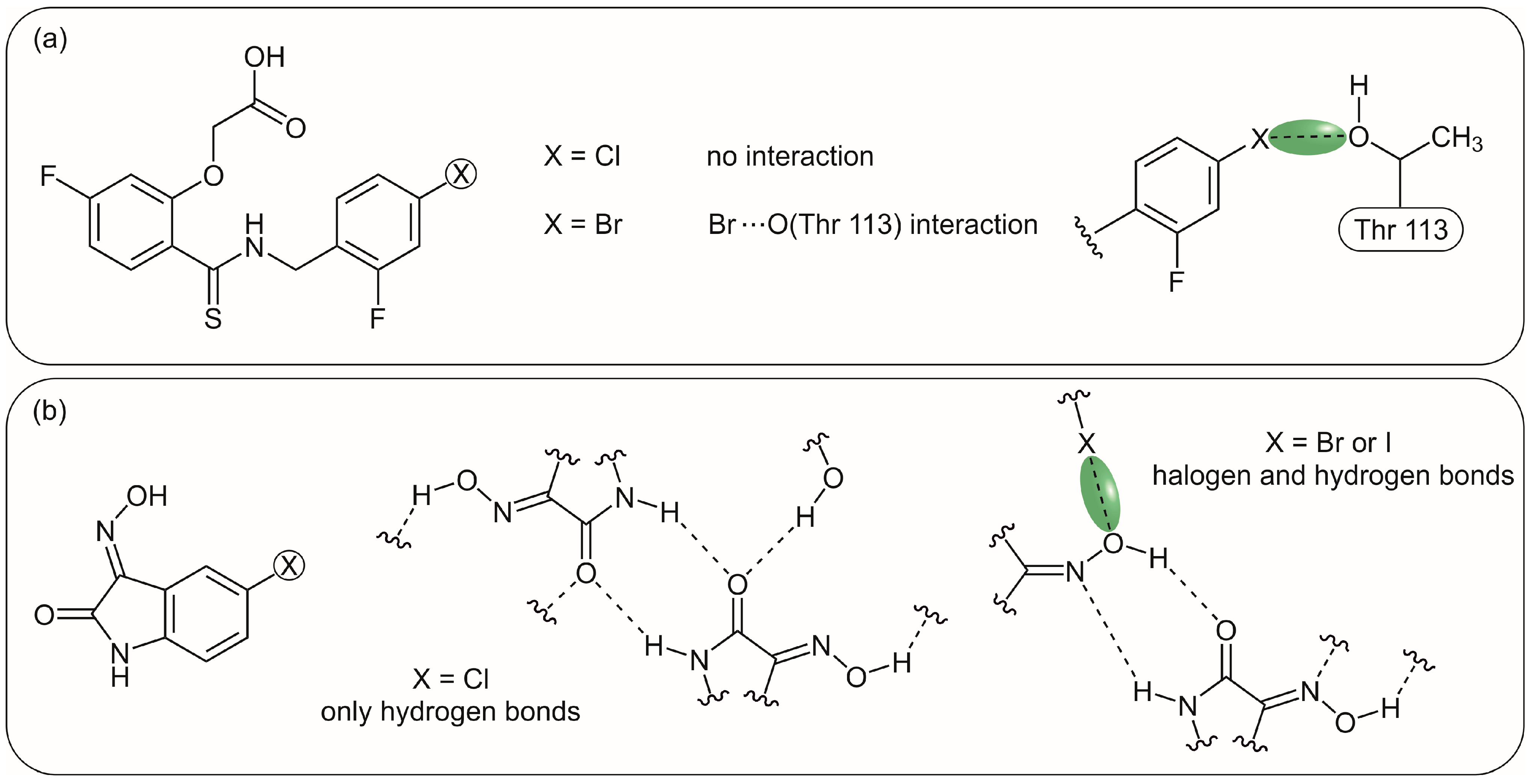 Molecules 31 01237 g009 Molecules 31 01237 g009