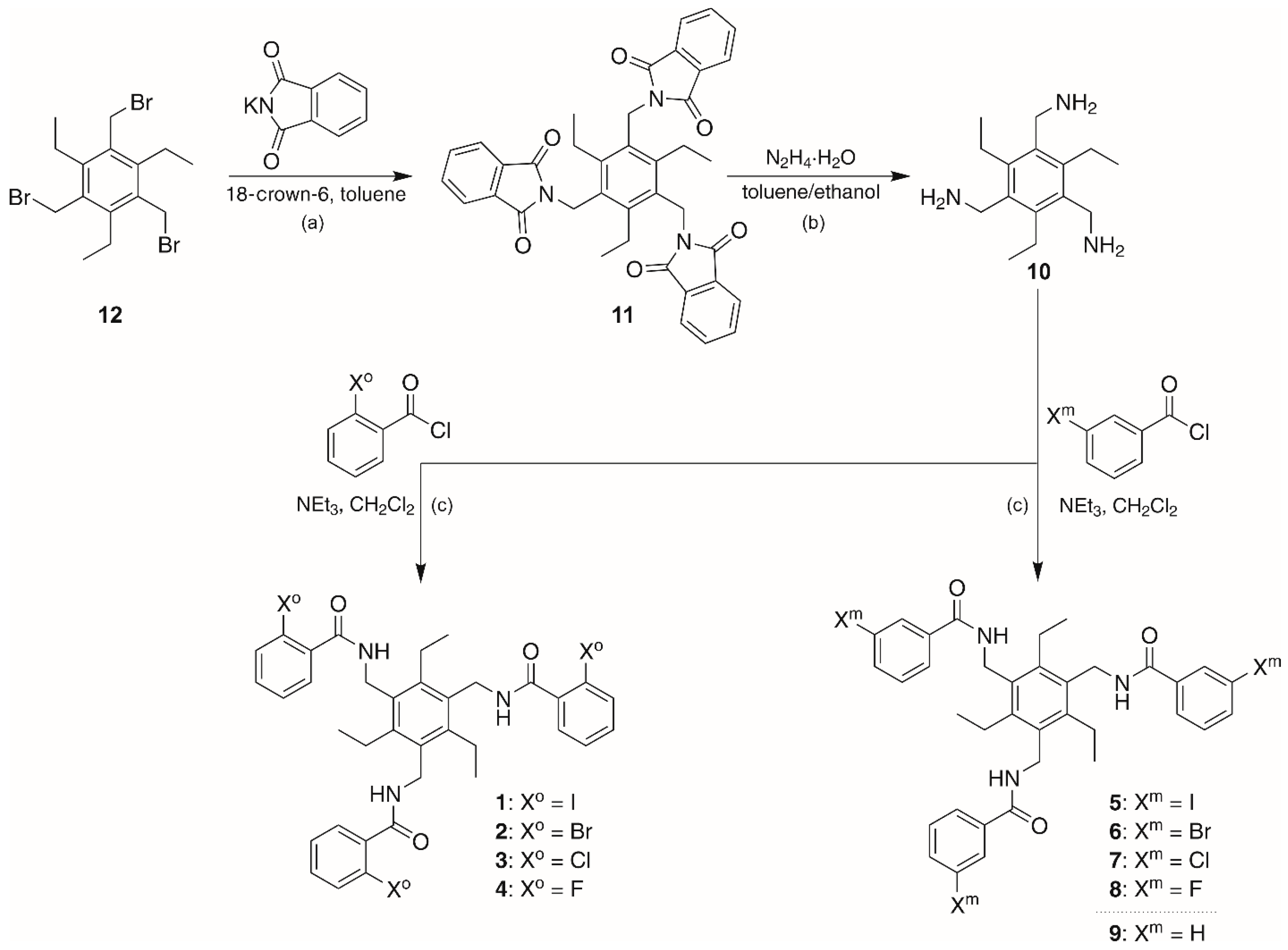 Molecules 31 01237 sch001 Molecules 31 01237 sch001