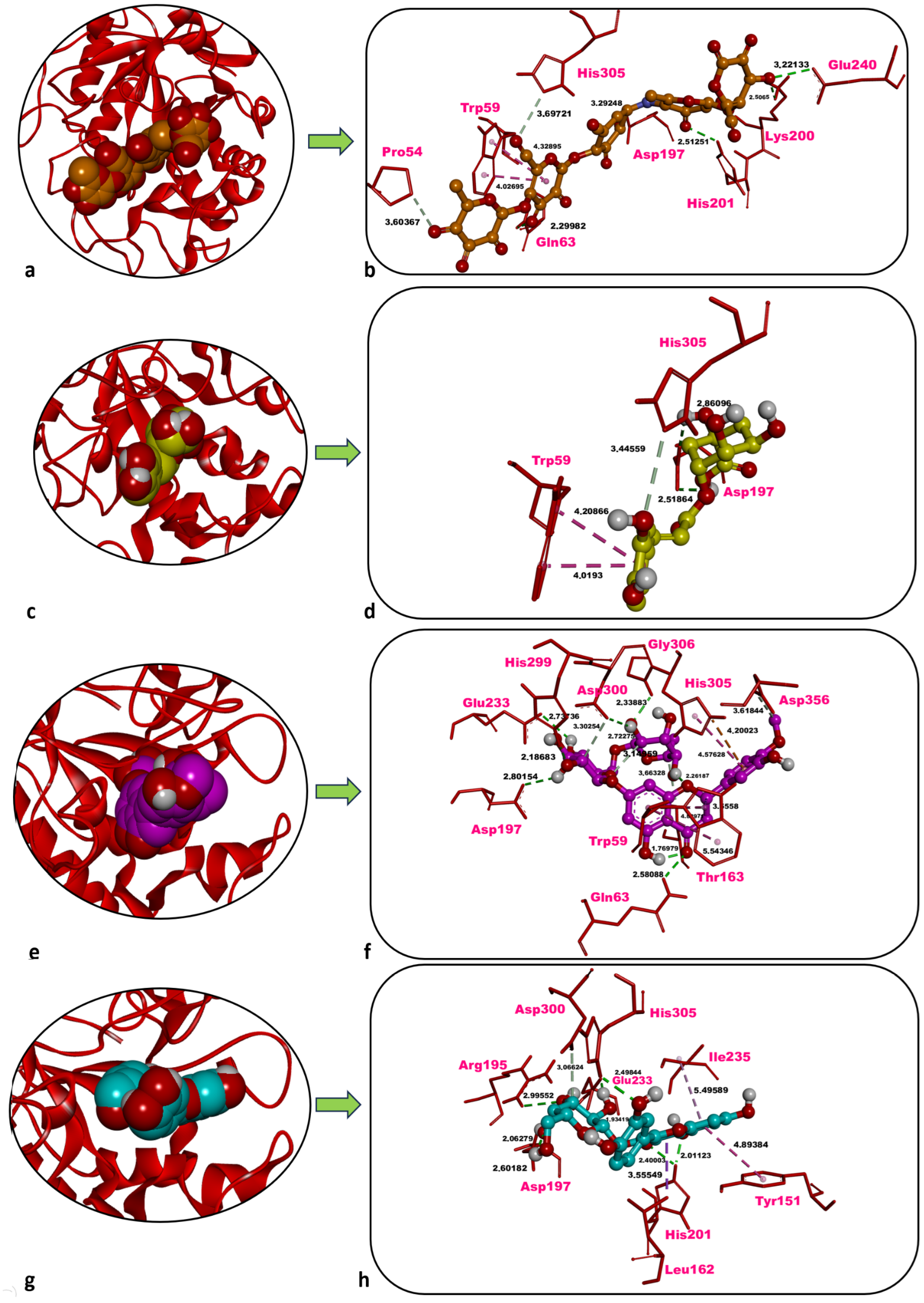 Molecules 31 01240 g005 Molecules 31 01240 g005