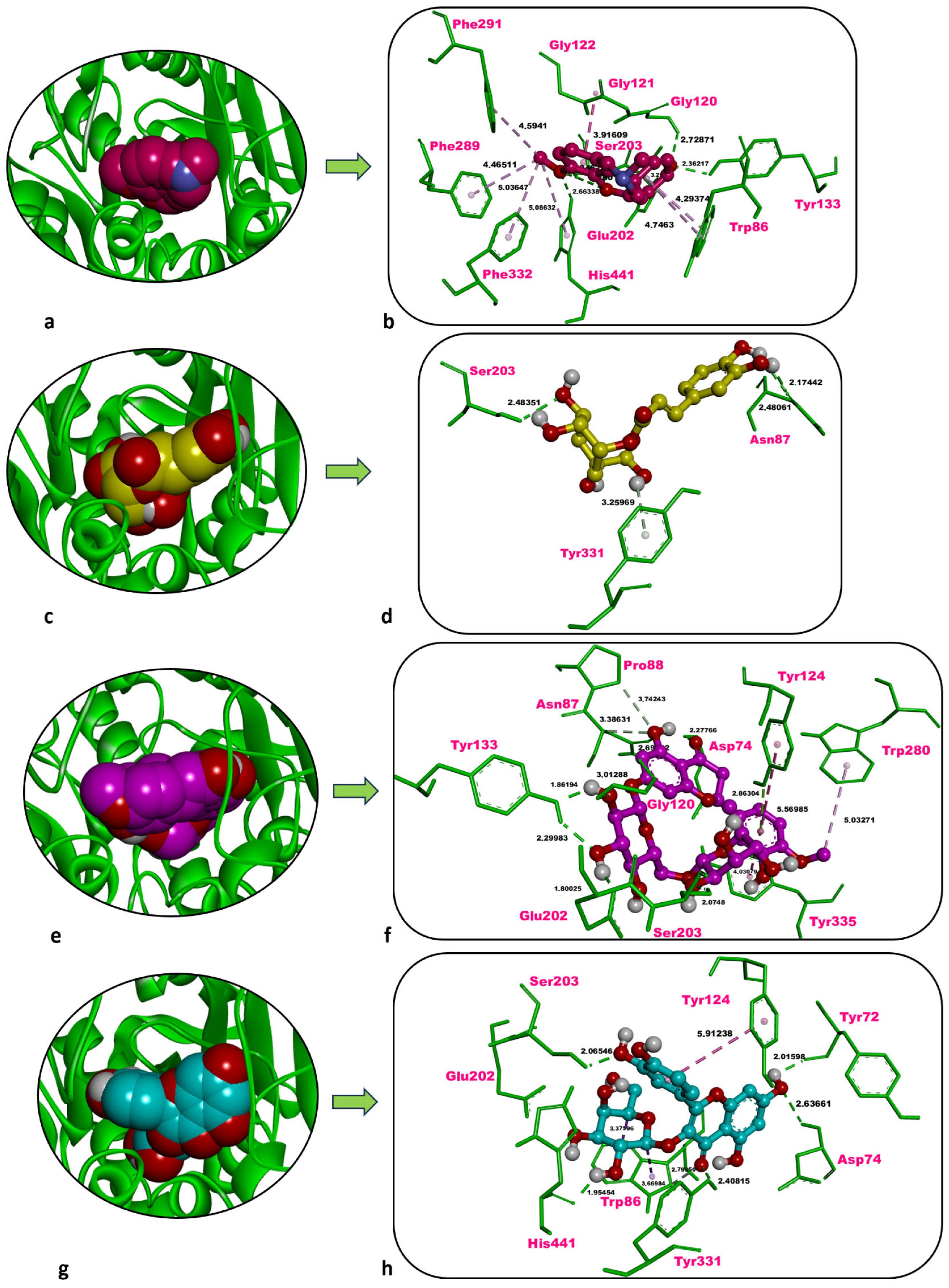 Molecules 31 01240 g006 Molecules 31 01240 g006