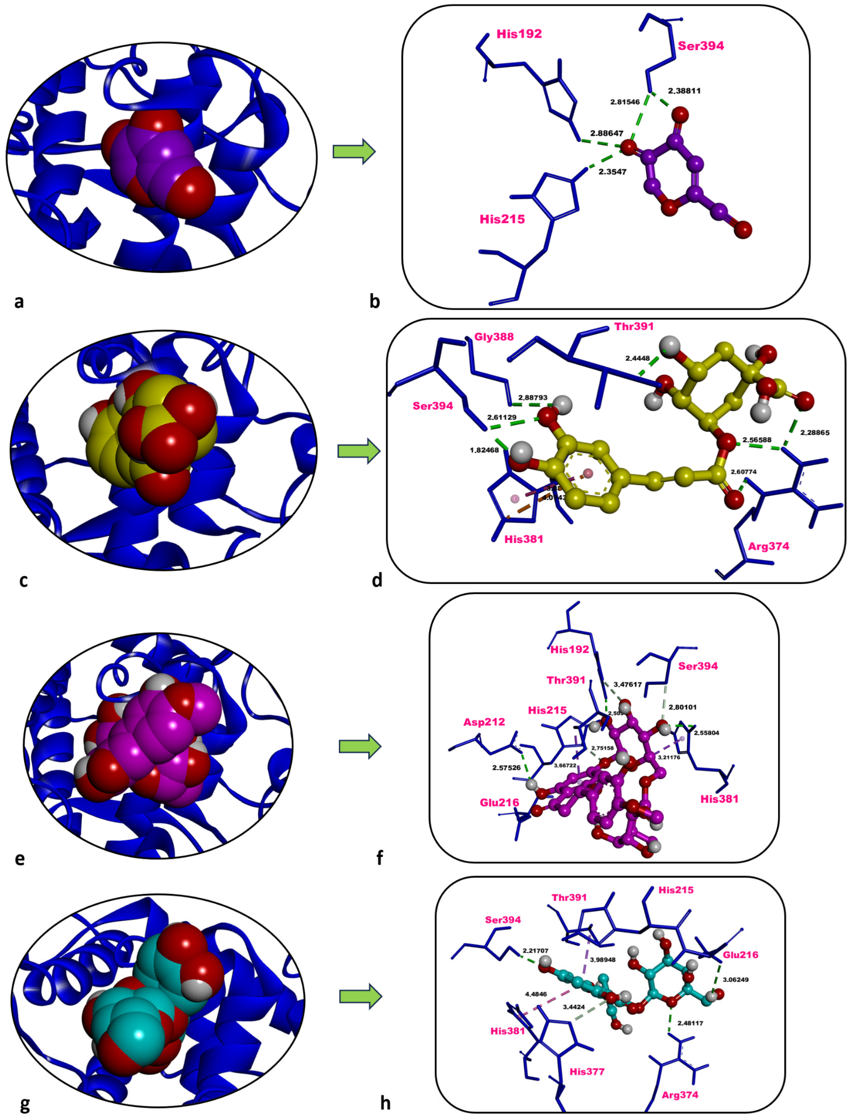 Molecules 31 01240 g007 Molecules 31 01240 g007