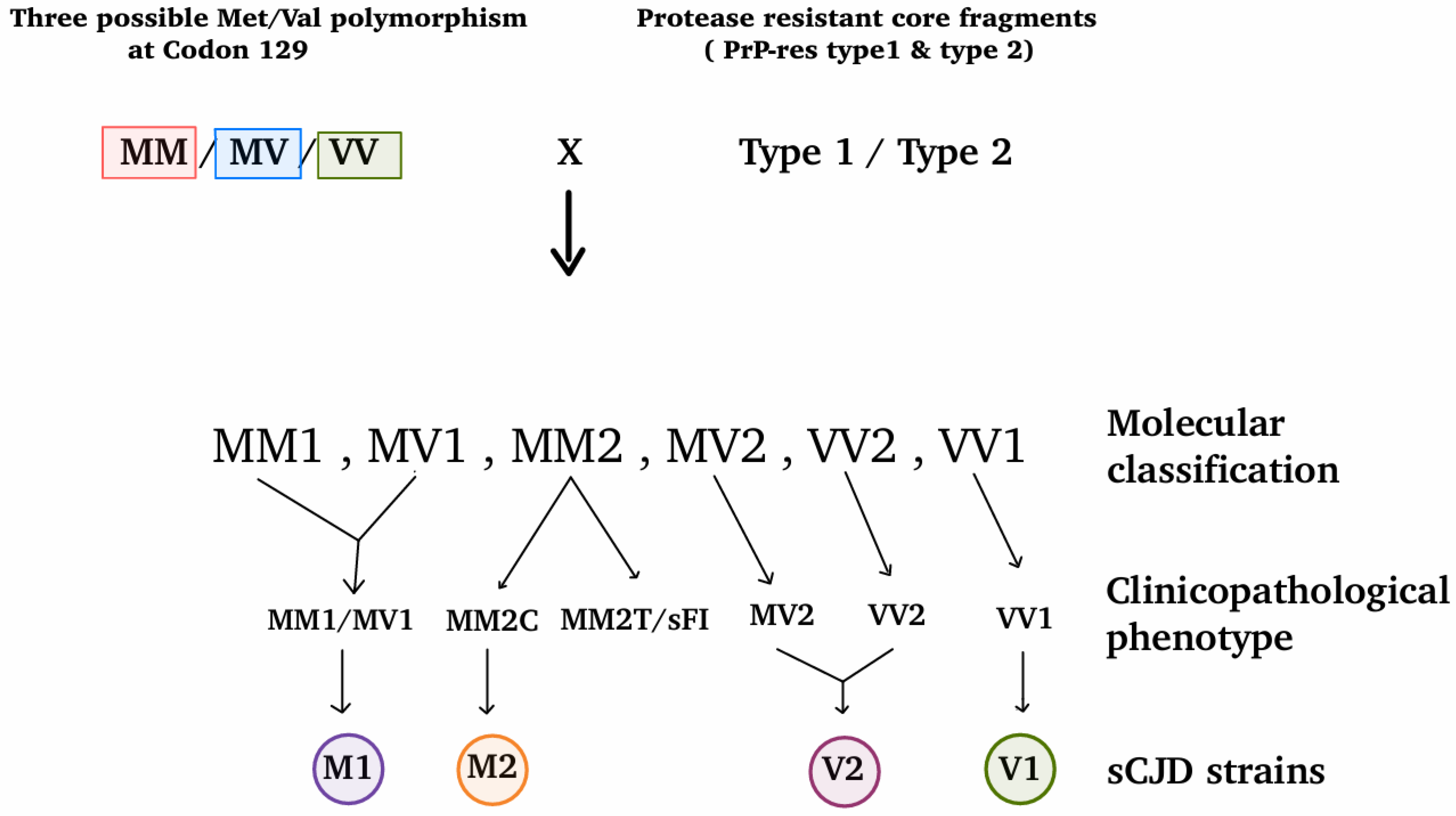 Molecules 31 01265 g002