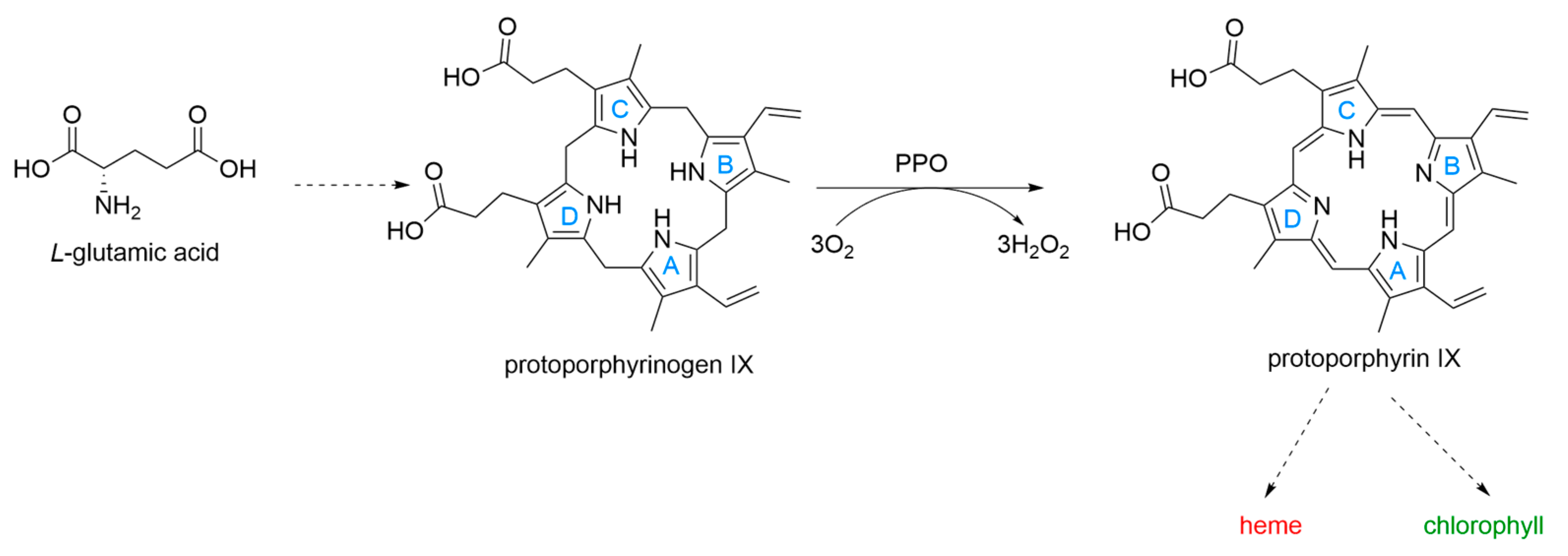 Molecules 31 01270 g001 Molecules 31 01270 g001