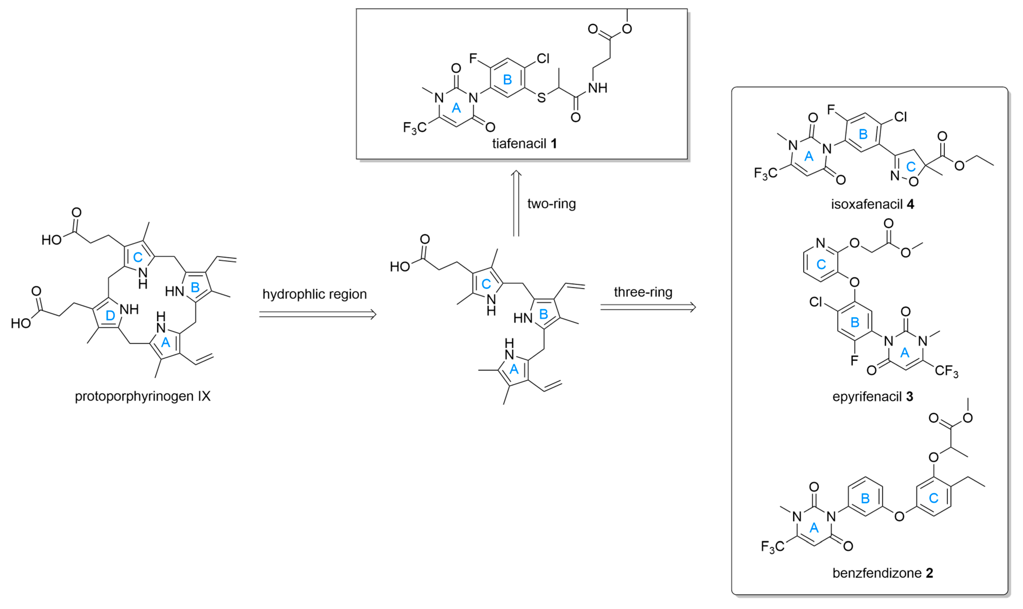 Molecules 31 01270 g007 Molecules 31 01270 g007