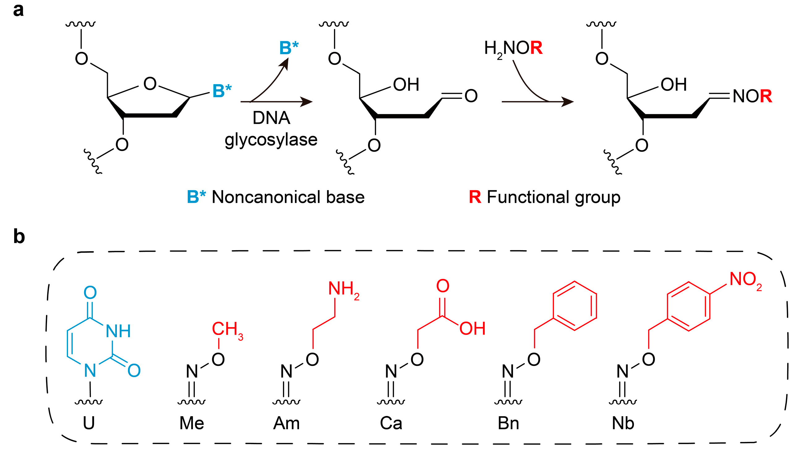 Molecules 31 01271 g001