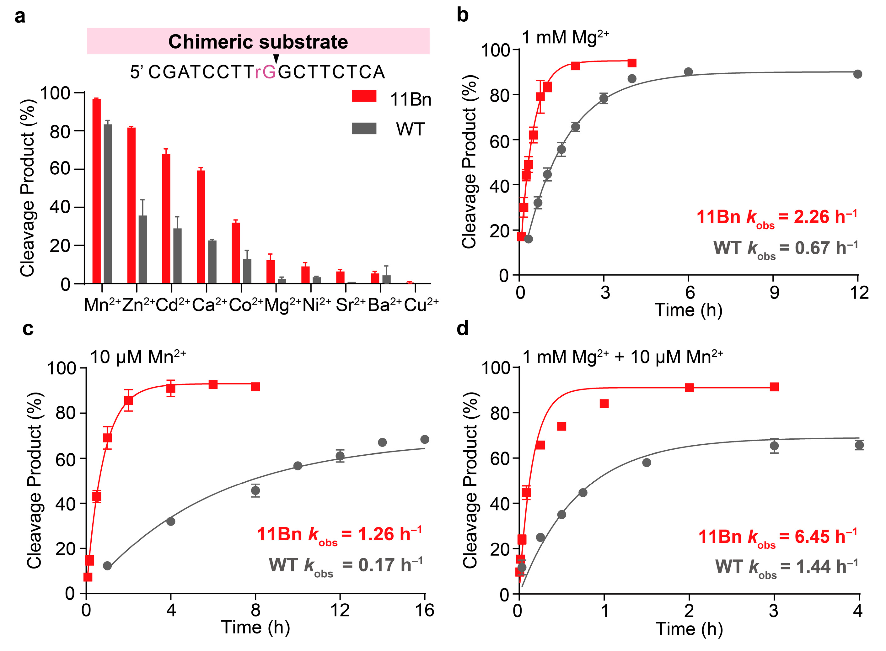 Molecules 31 01271 g003