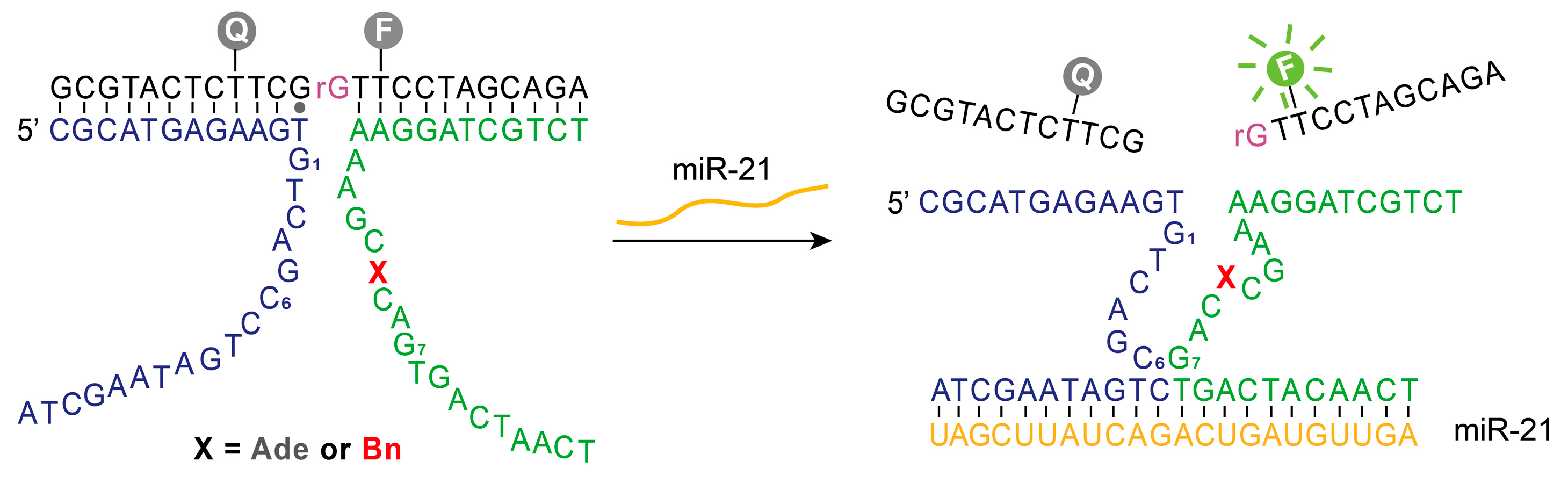 Molecules 31 01271 g005