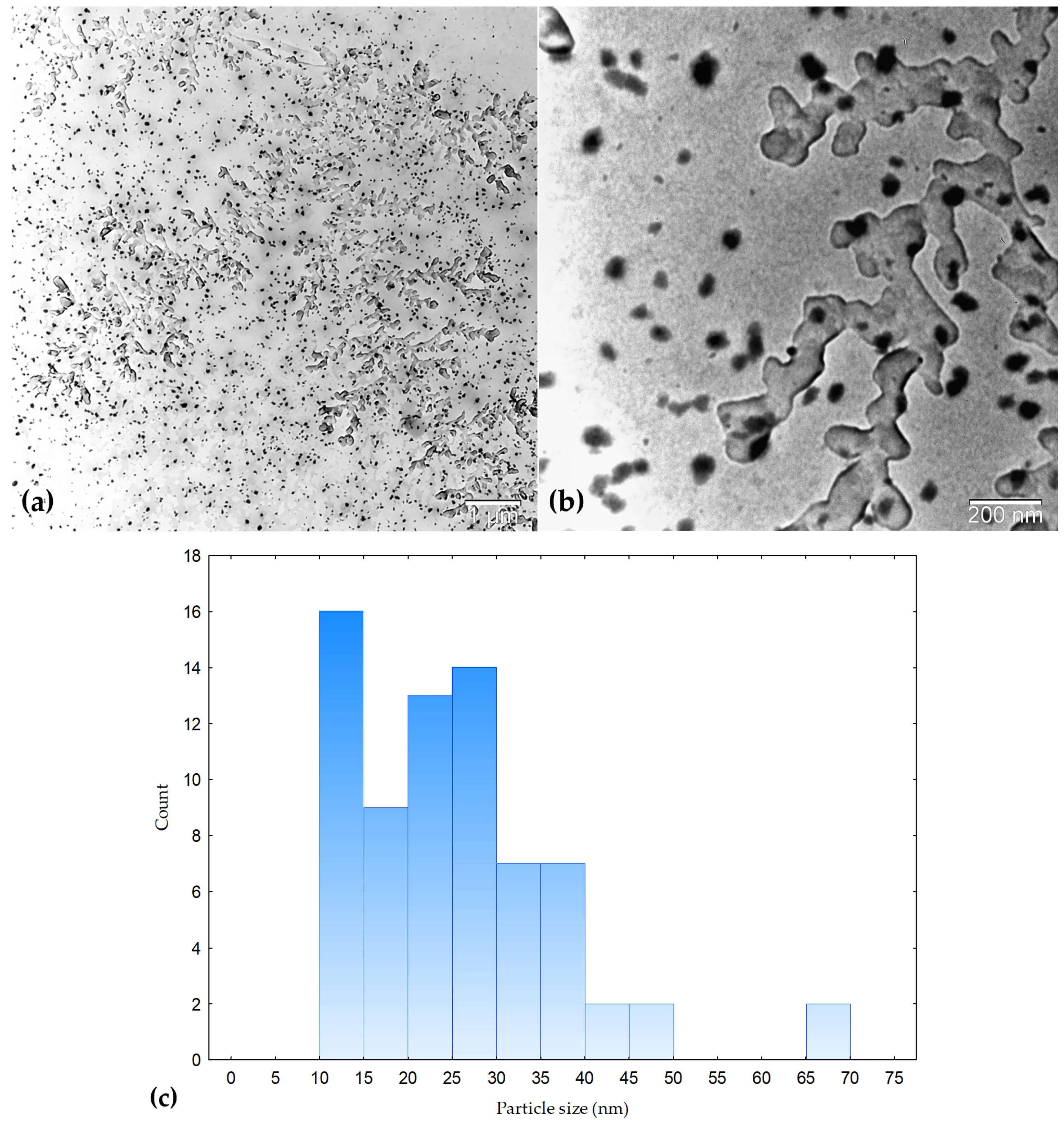 Molecules 31 01279 g008 Molecules 31 01279 g008