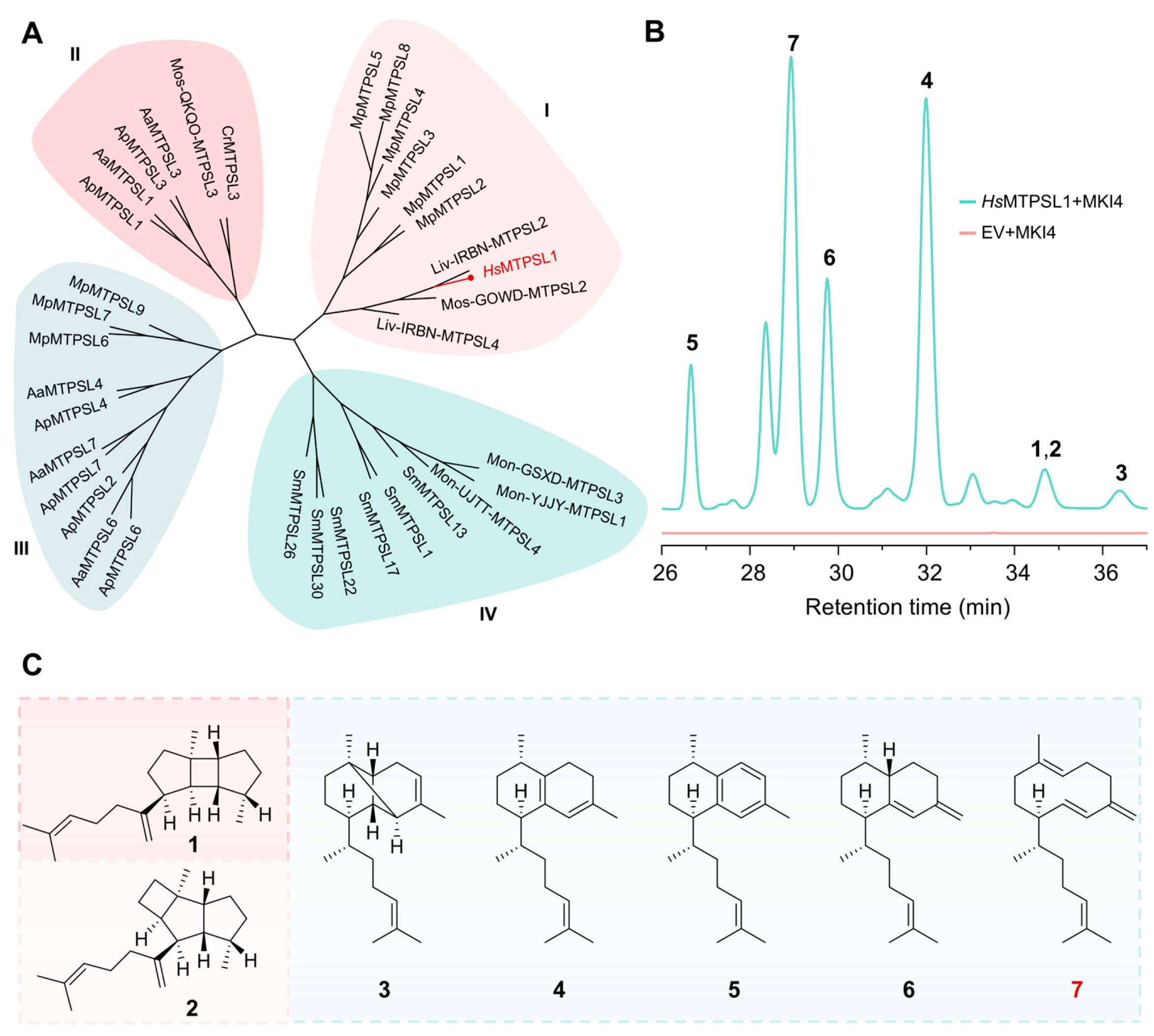 Molecules 31 01329 g001 Molecules 31 01329 g001