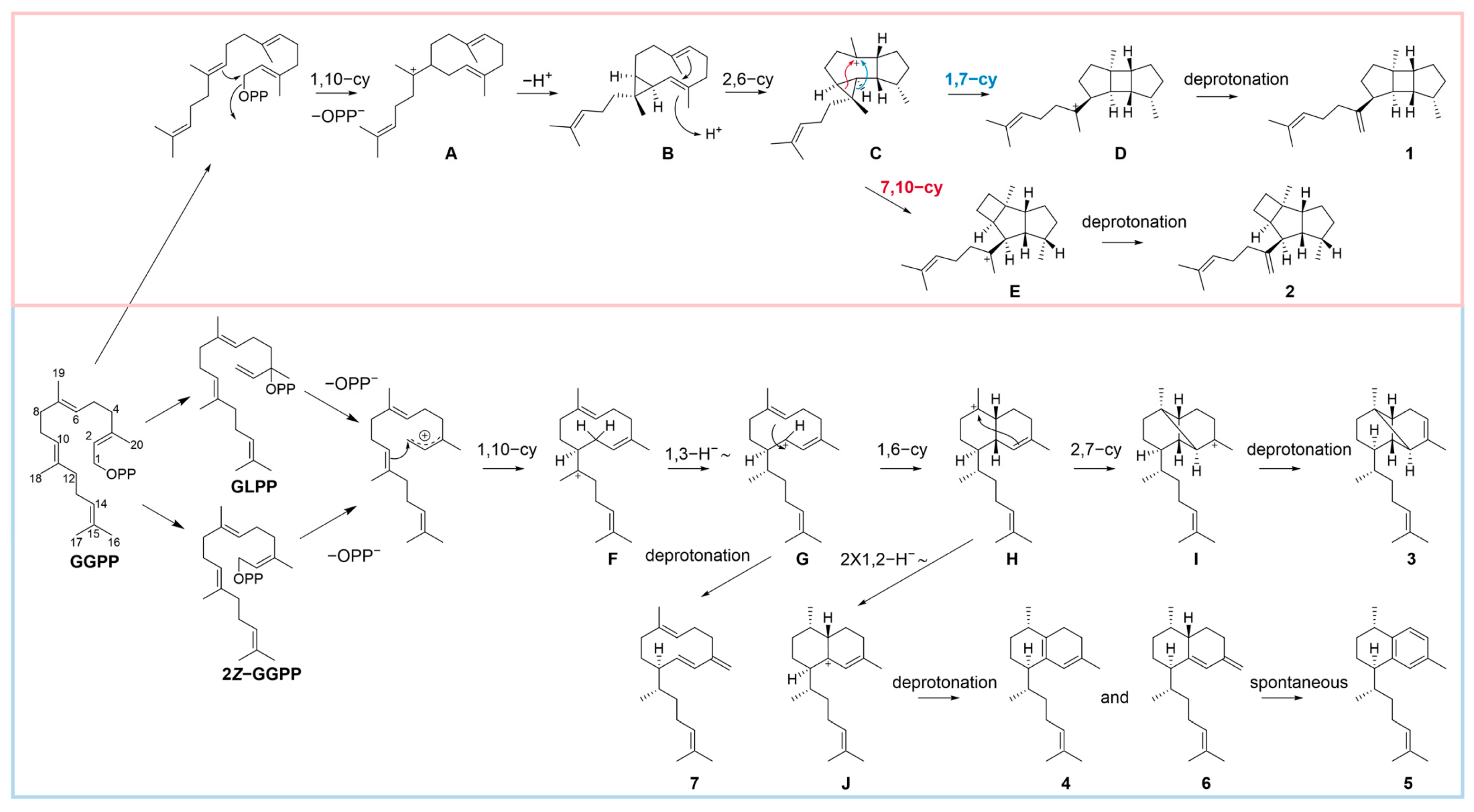Molecules 31 01329 g002 Molecules 31 01329 g002