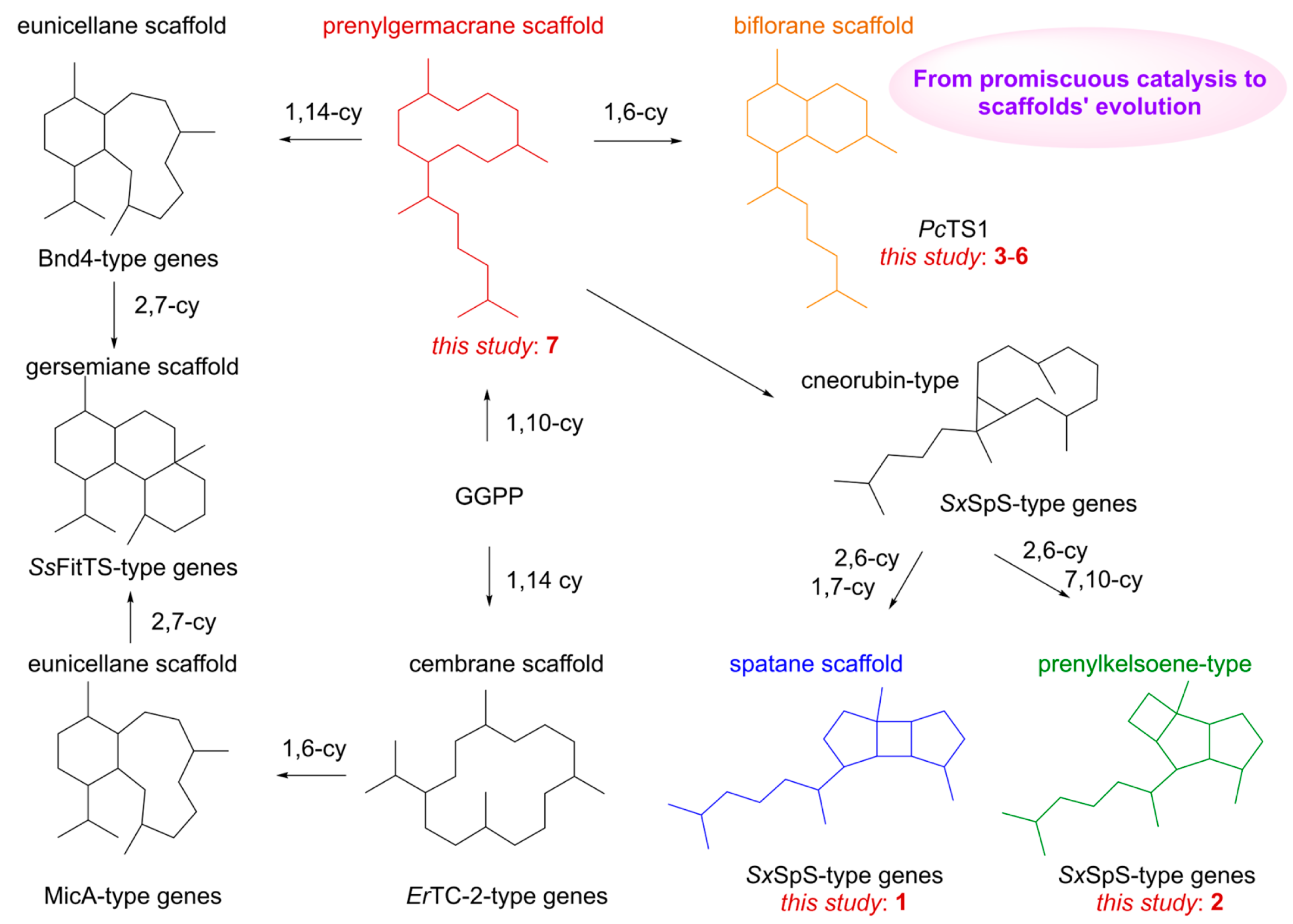 Molecules 31 01329 g005 Molecules 31 01329 g005