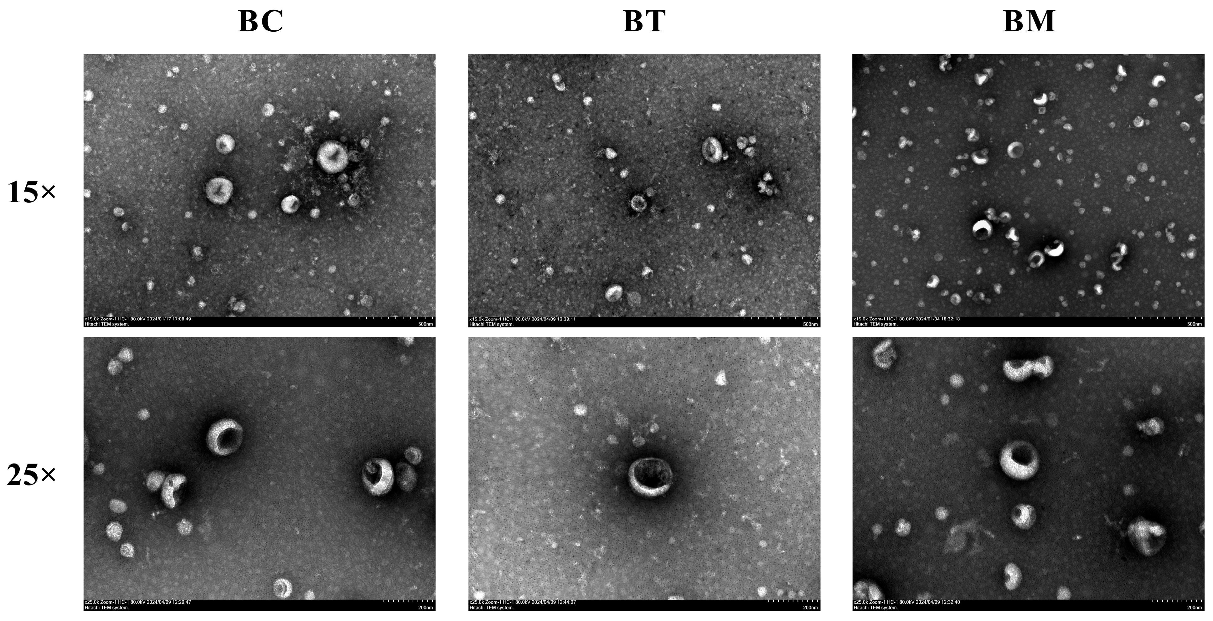 Molecules 31 01332 g001 Molecules 31 01332 g001