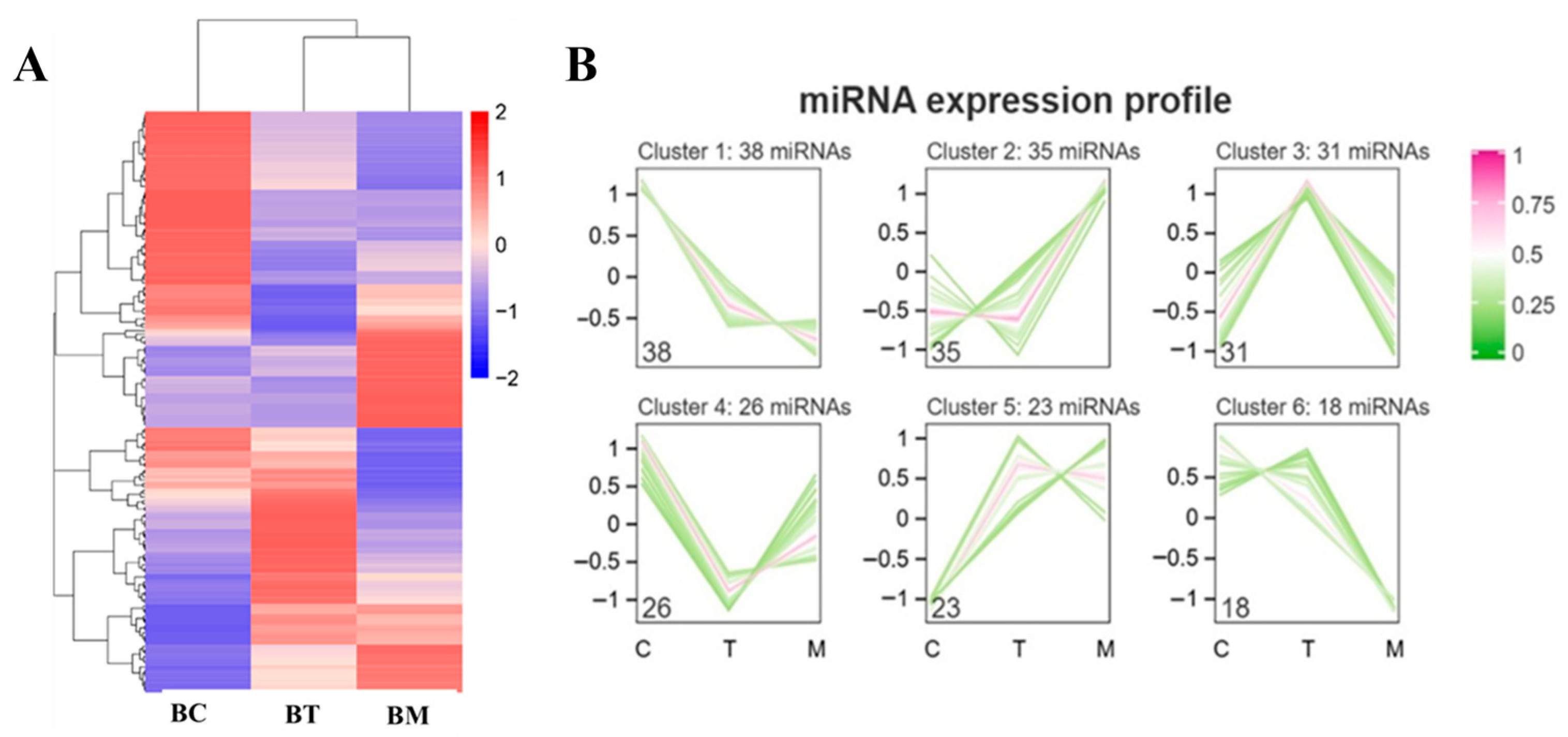 Molecules 31 01332 g004 Molecules 31 01332 g004