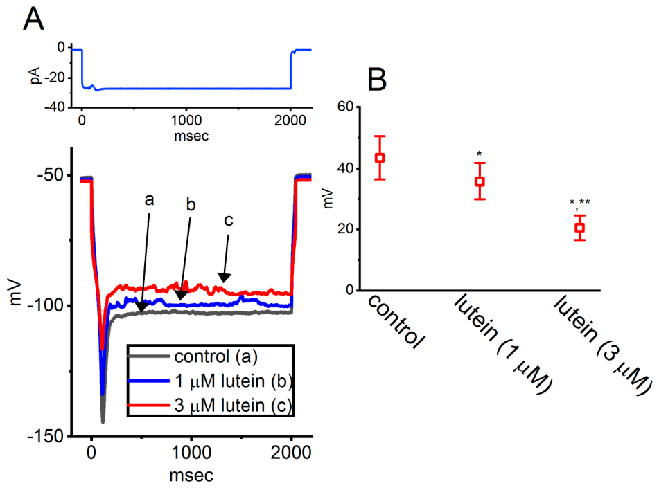 Molecules 31 01360 g004 Molecules 31 01360 g004