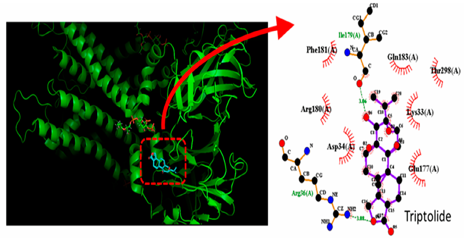 Molecules 31 01360 g005 Molecules 31 01360 g005