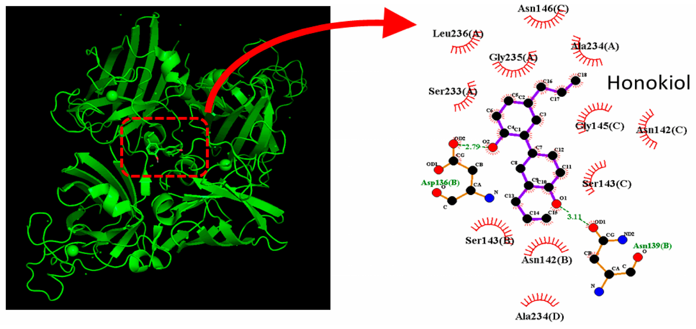 Molecules 31 01360 g009 Molecules 31 01360 g009