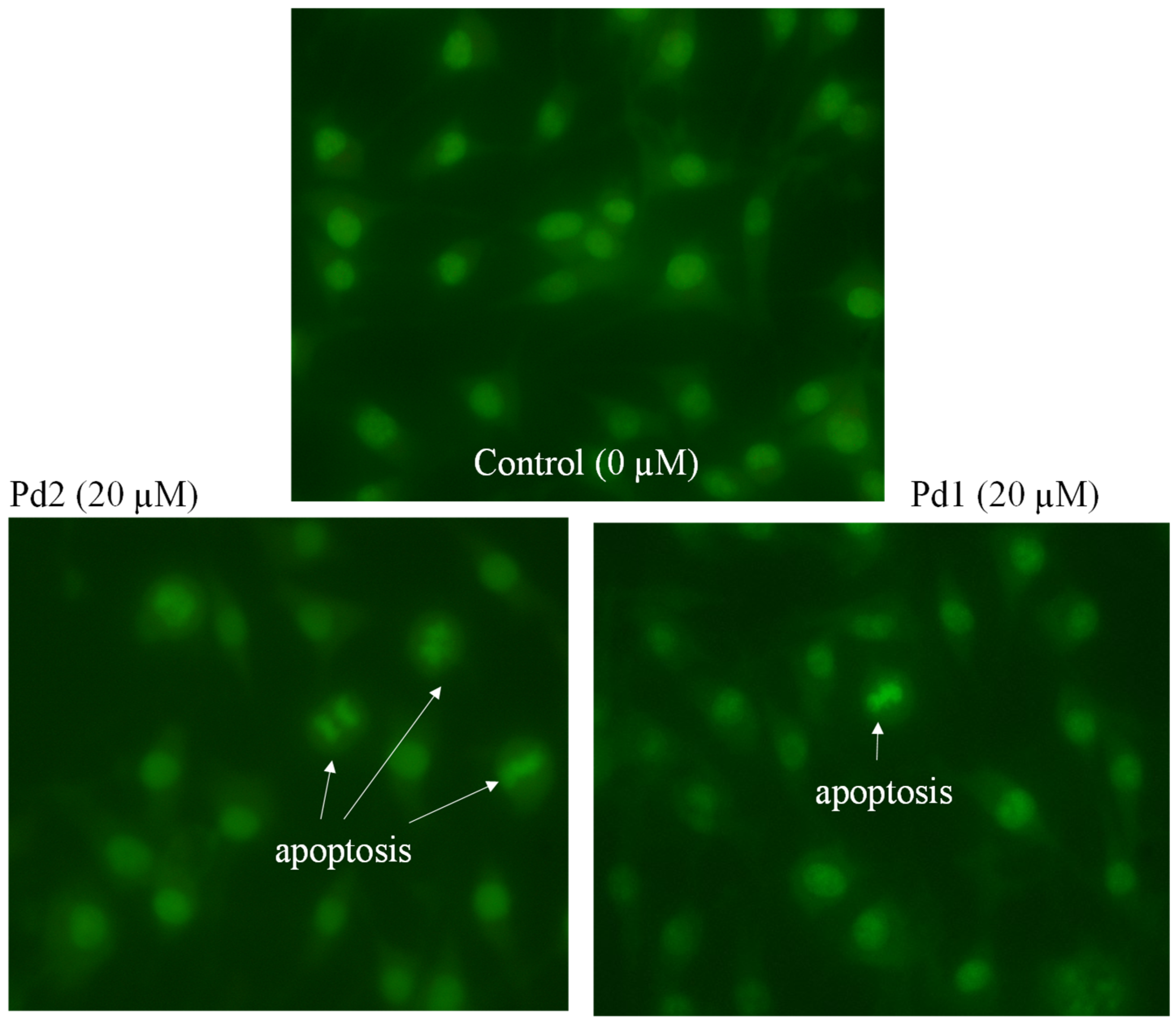 Molecules 31 01370 g002 Molecules 31 01370 g002
