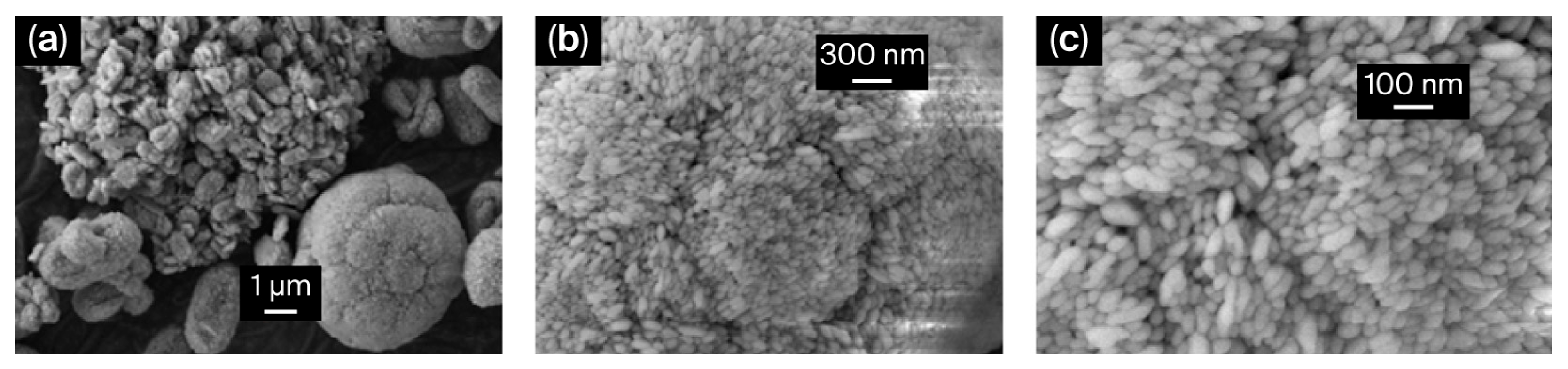 Molecules 31 01384 g002 Molecules 31 01384 g002