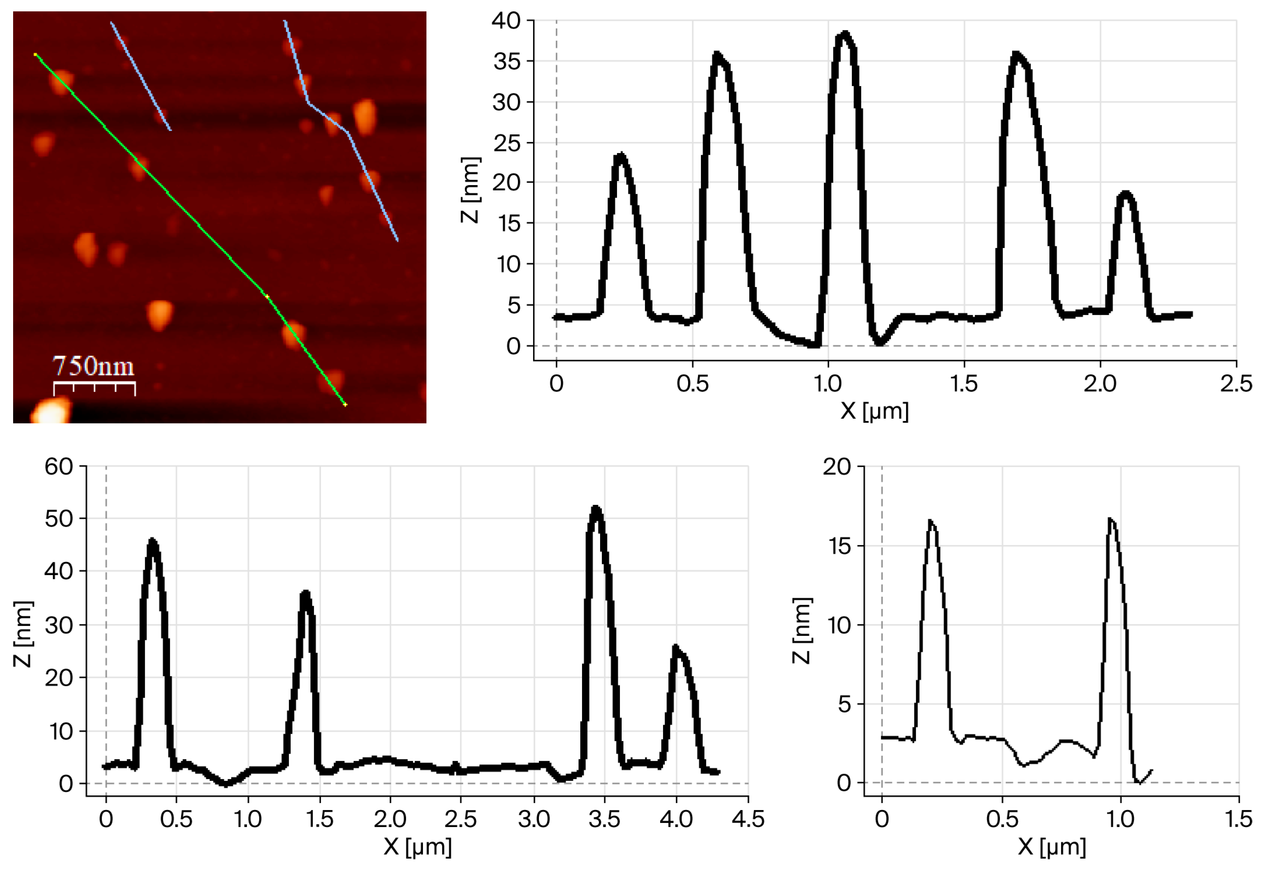 Molecules 31 01384 g003 Molecules 31 01384 g003