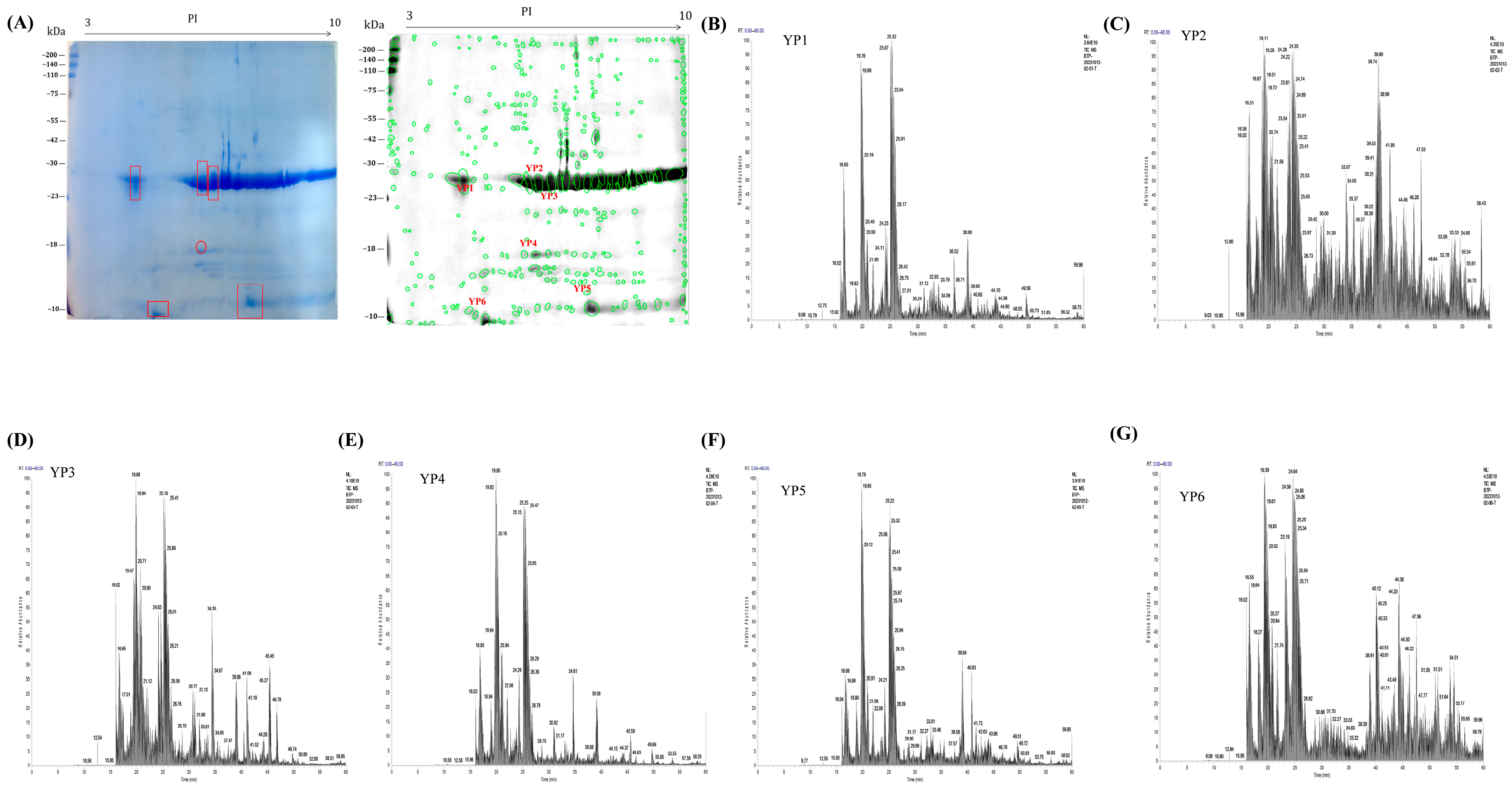 Molecules 31 01387 g006 Molecules 31 01387 g006