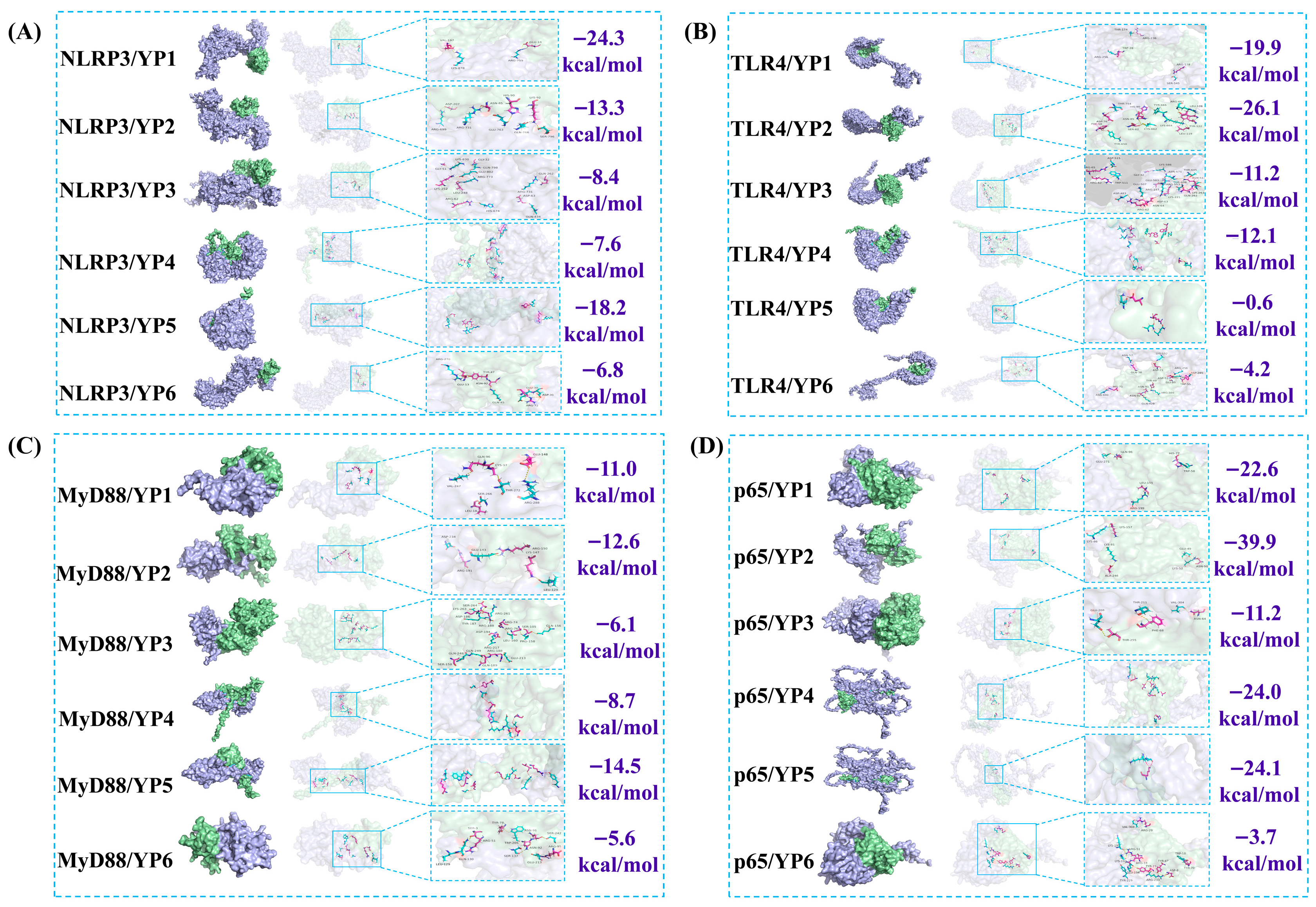 Molecules 31 01387 g008 Molecules 31 01387 g008