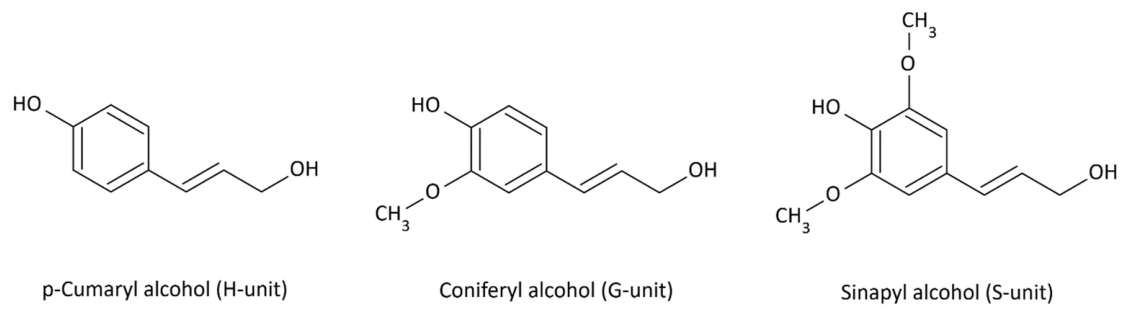 Molecules 31 01408 g001 Molecules 31 01408 g001