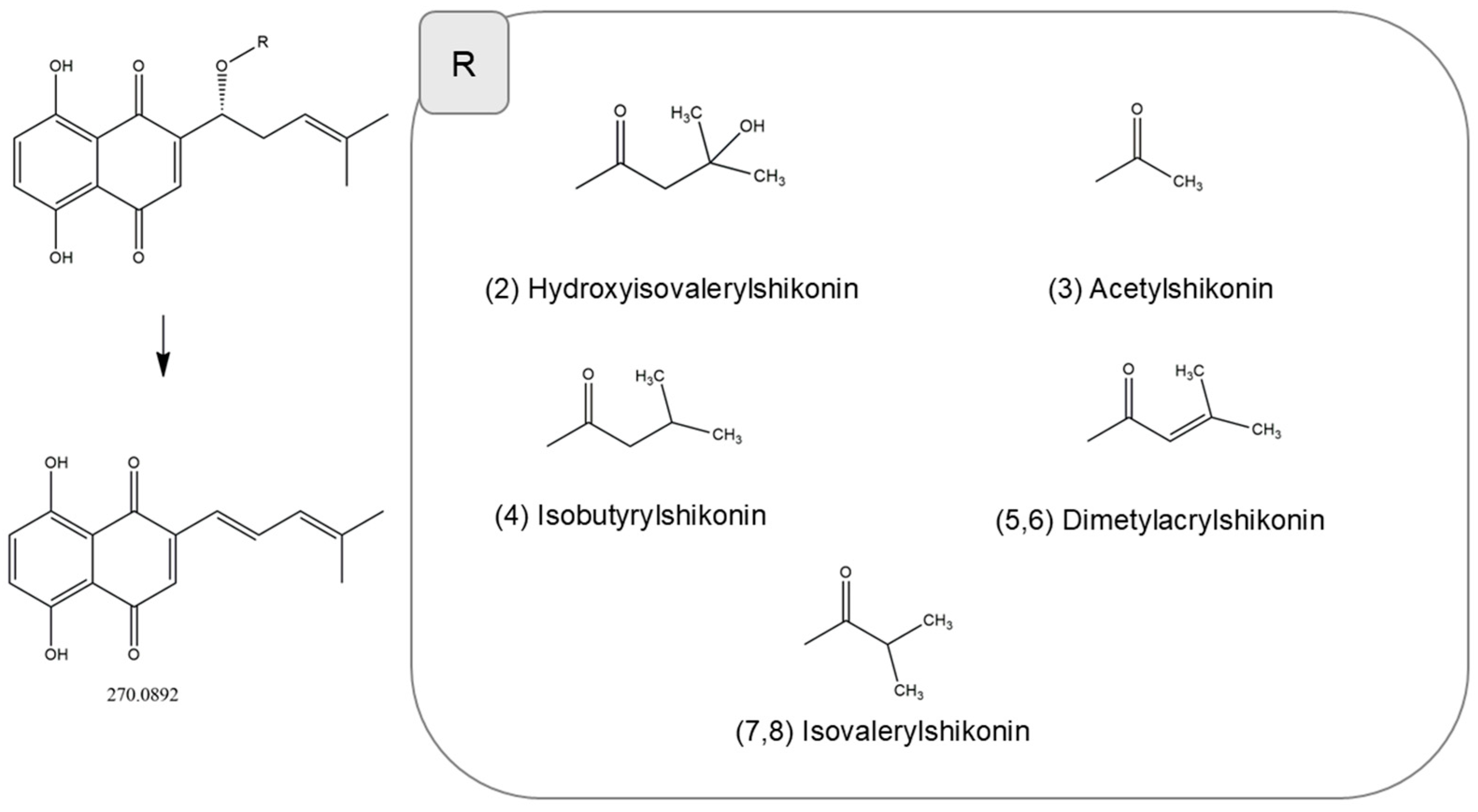 Molecules 31 01434 g002 Molecules 31 01434 g002