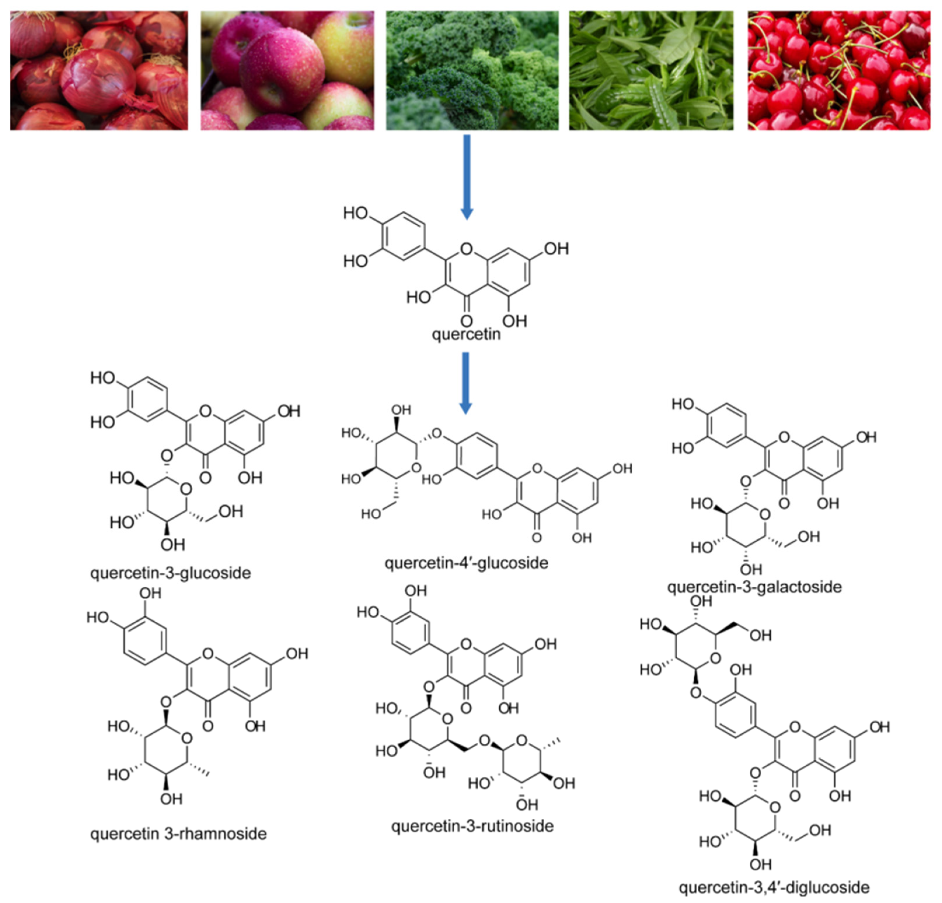 Molecules 31 01456 g001 Molecules 31 01456 g001