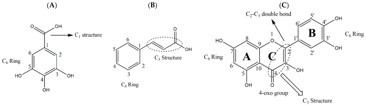 Molecules 31 01478 sch001 Molecules 31 01478 sch001