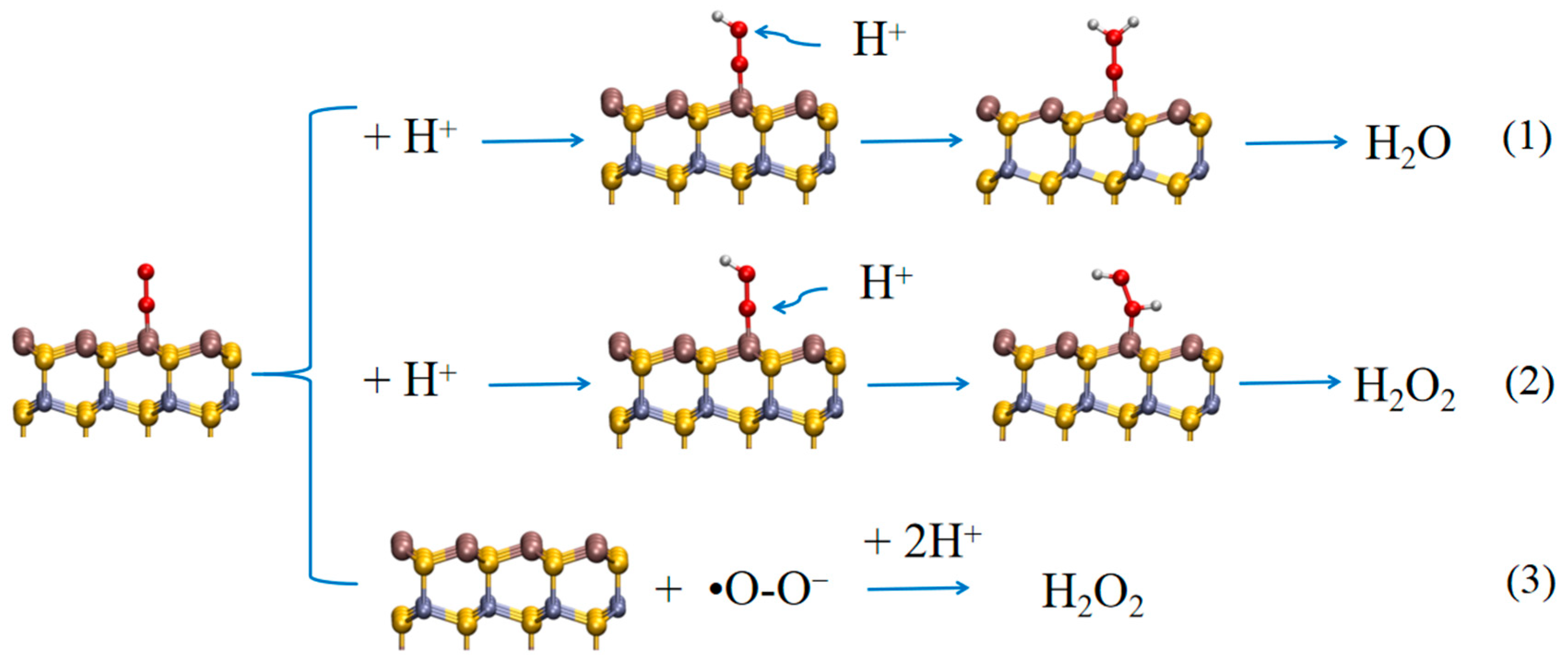 Molecules 31 01512 sch001 Molecules 31 01512 sch001